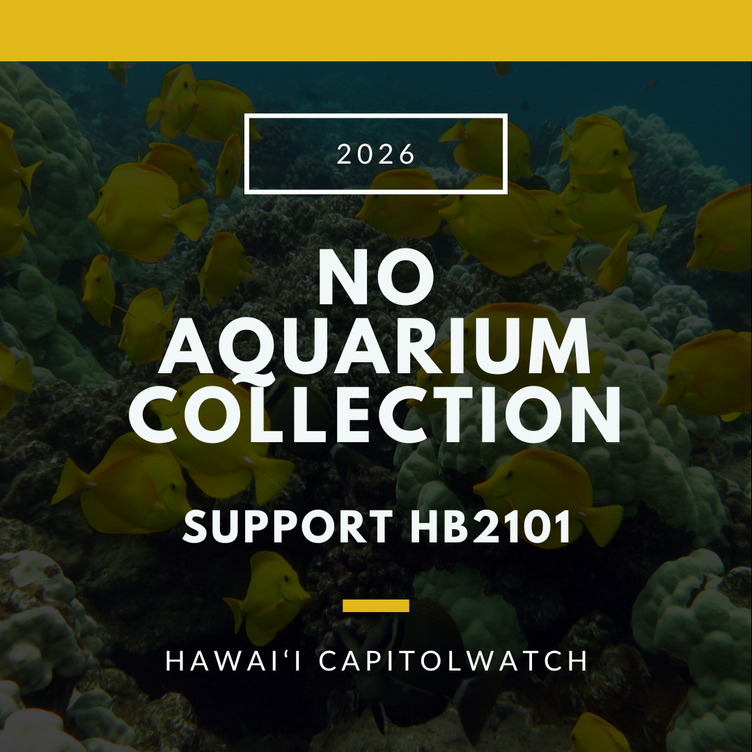 SUPPORT HB2101: Stop Commercial Aquarium Collection