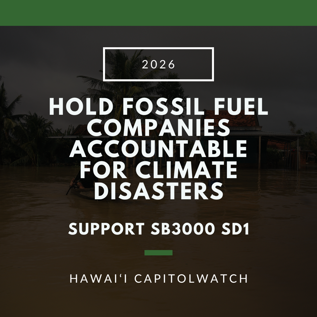 SUPPORT SB3000 SD1: Hold Fossil Fuel Companies Accountable