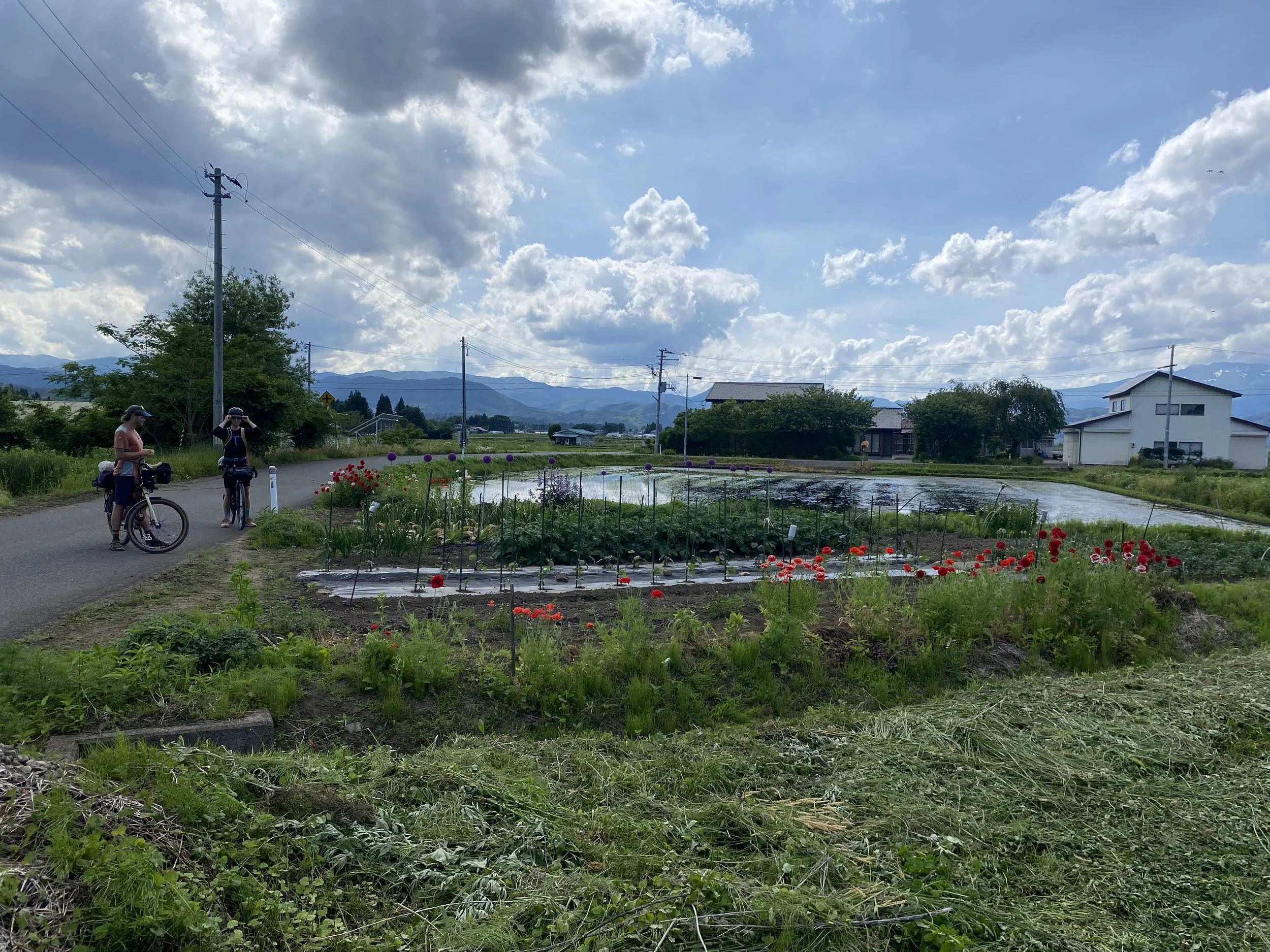 IMG_3293.jpeg