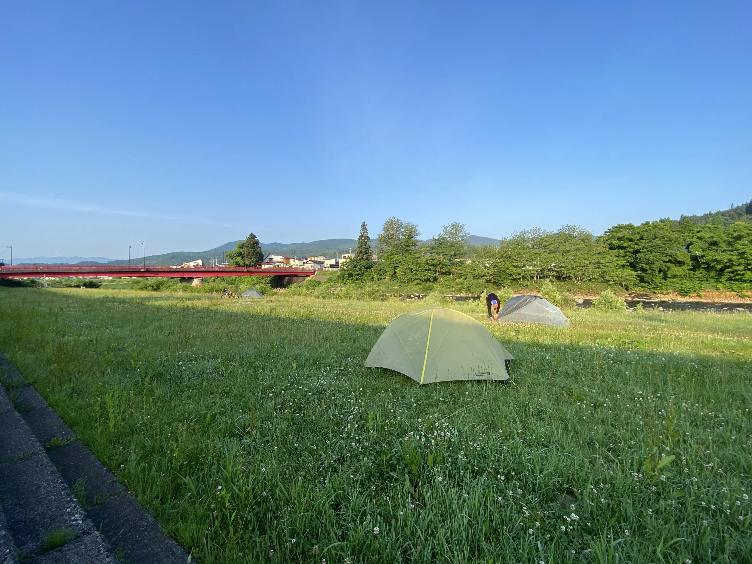 IMG_3350.jpeg