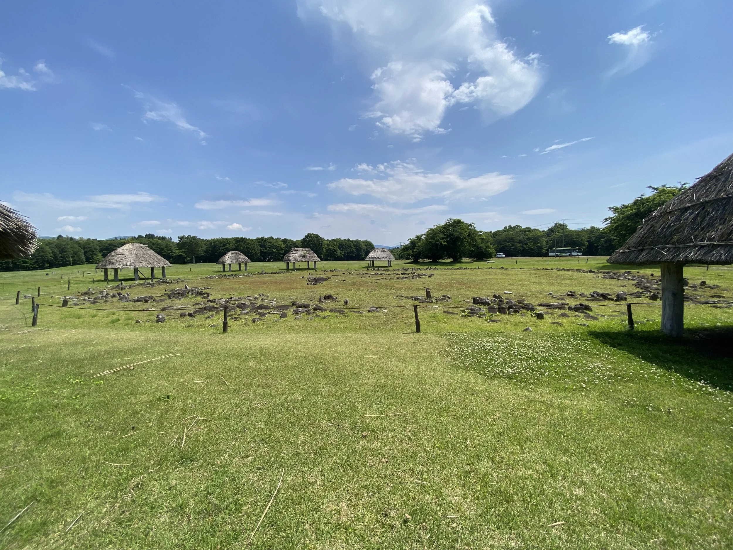IMG_3358.jpeg