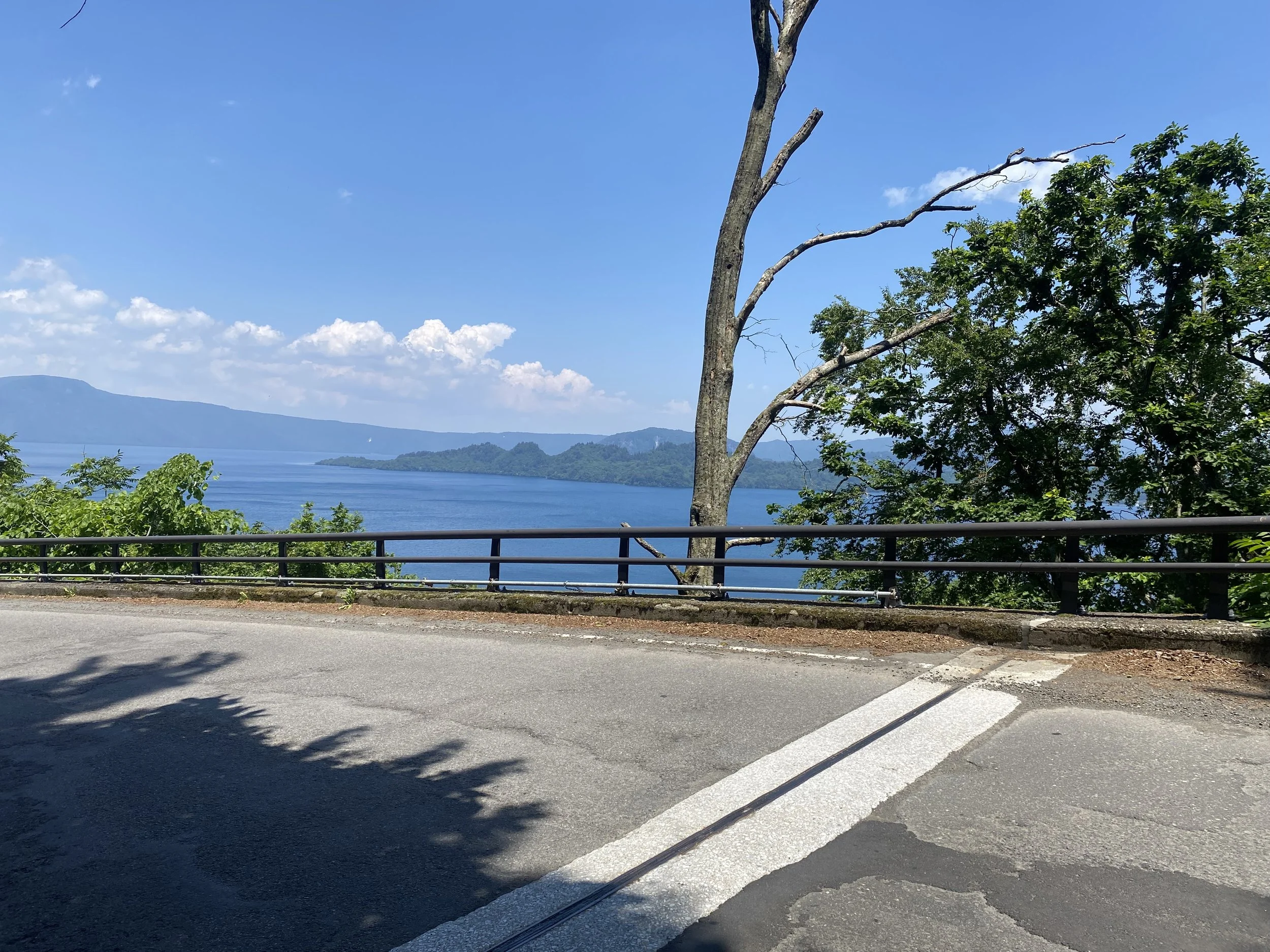 IMG_3359.jpeg