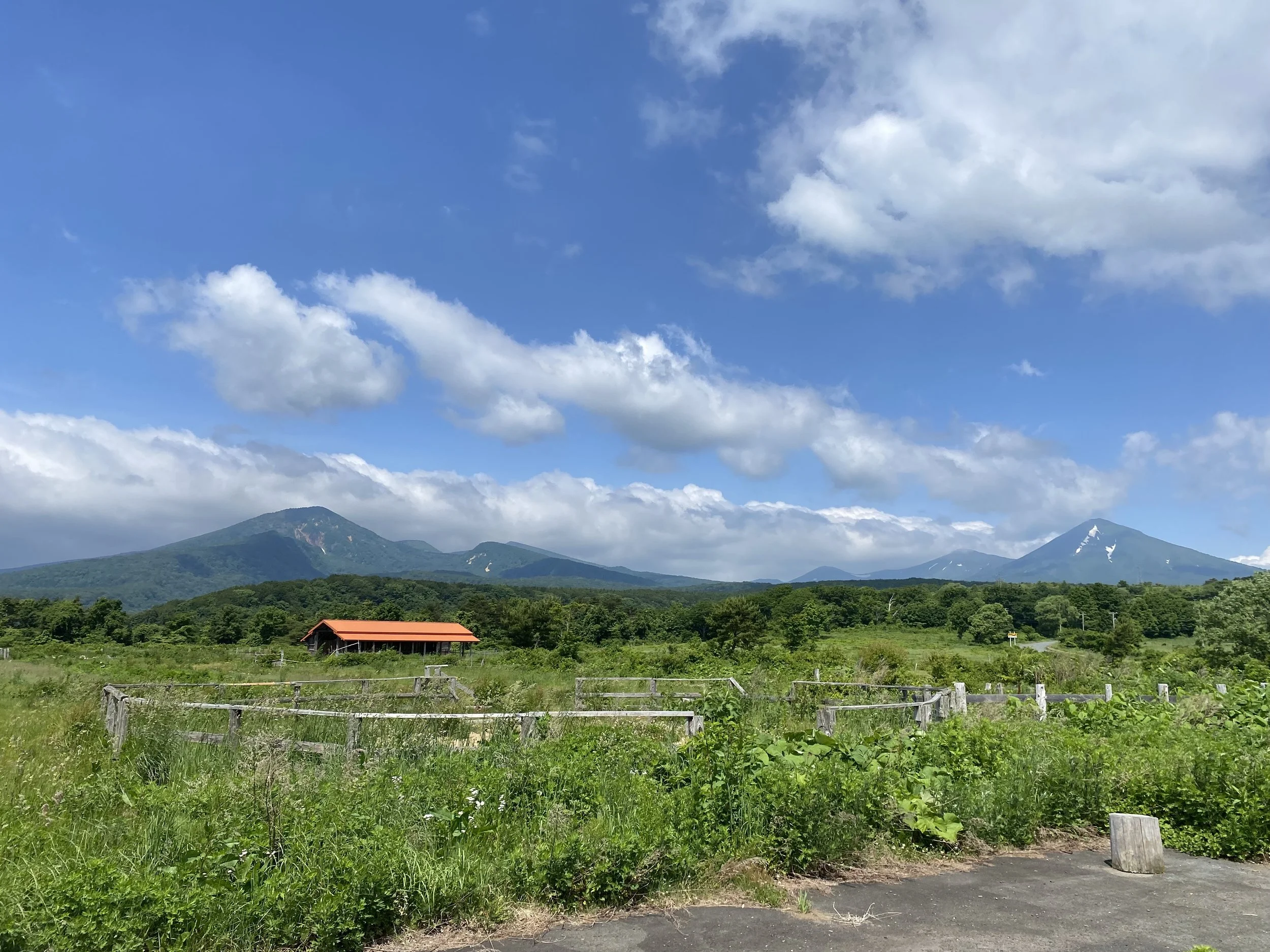 IMG_3394.jpeg
