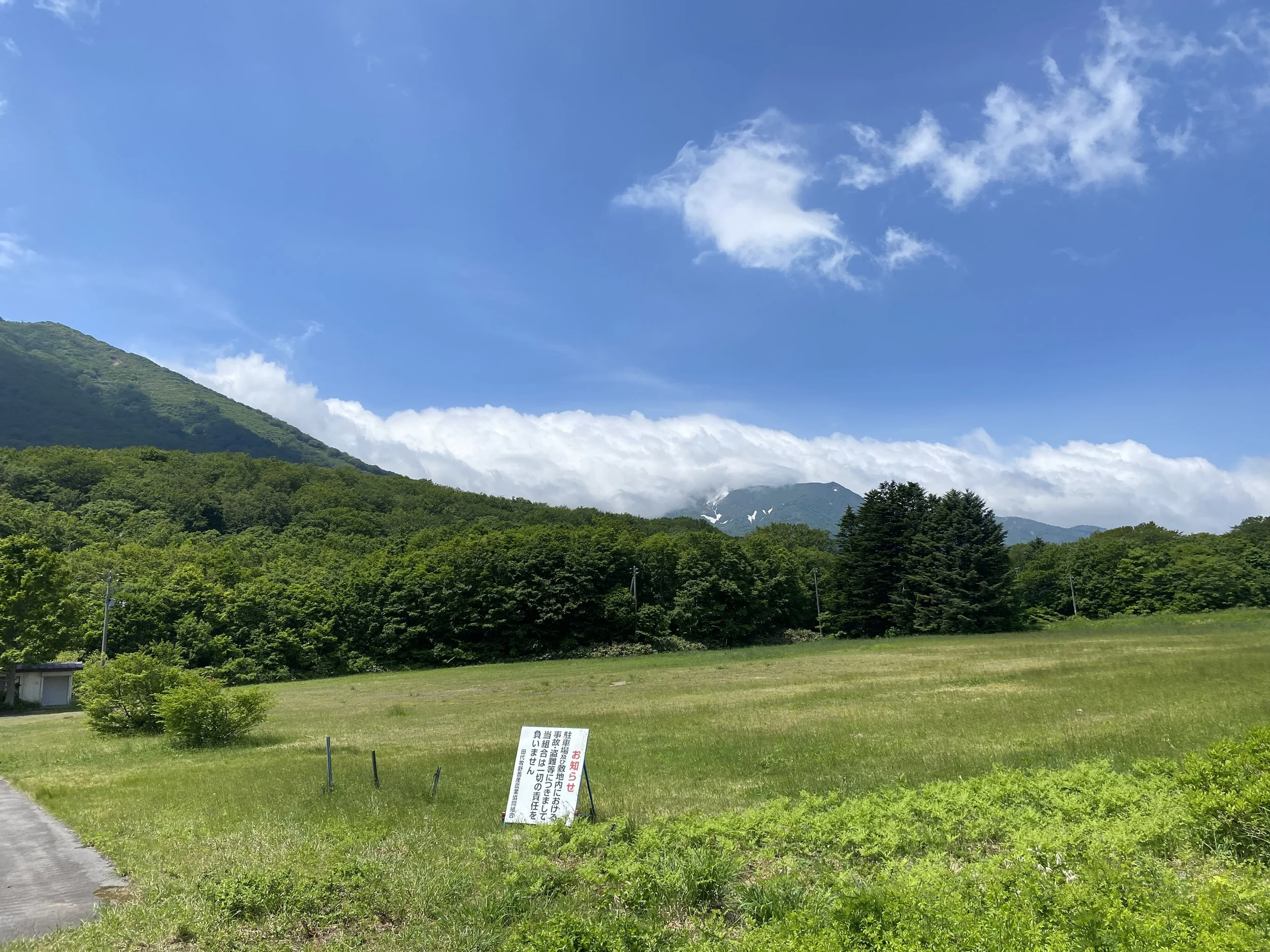 IMG_3396.jpeg