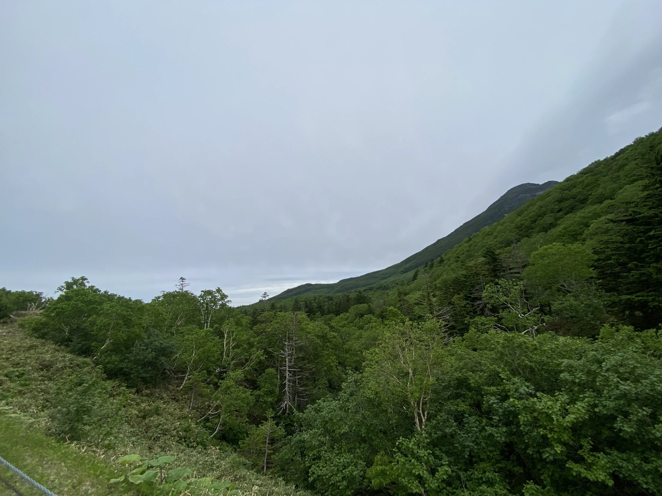 IMG_3457.jpeg