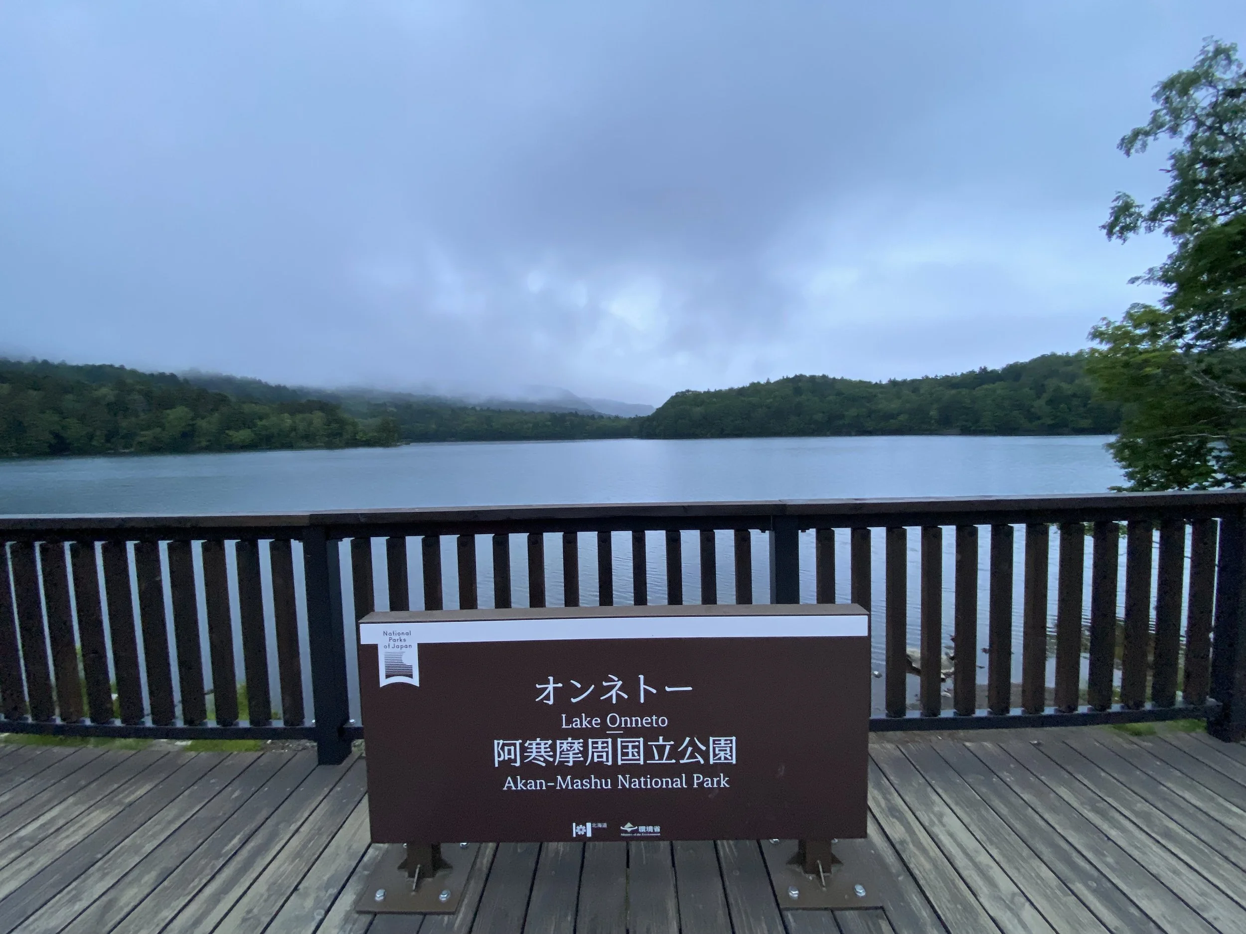 IMG_3494.jpeg