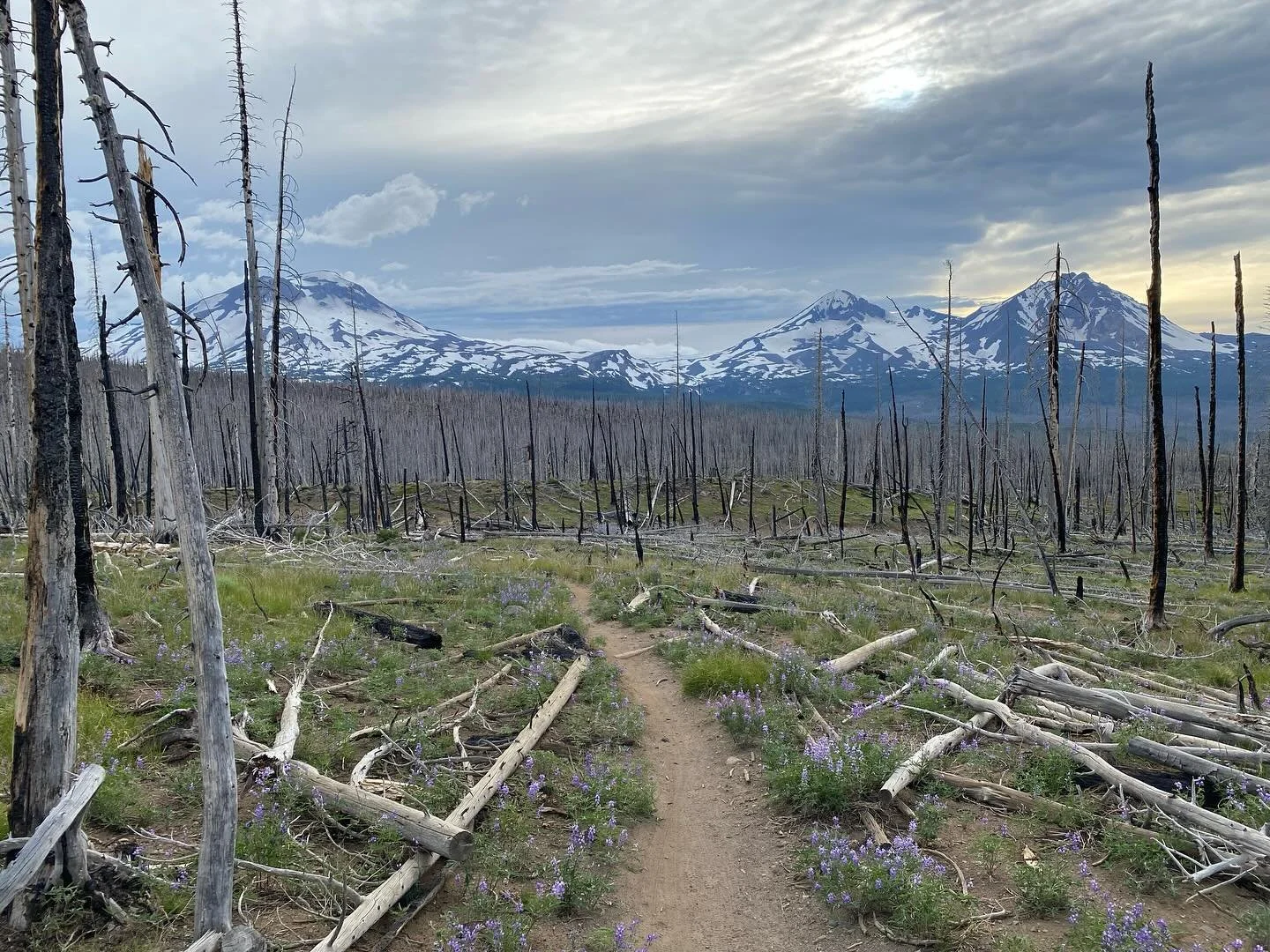It&rsquo;s easy to get overwhelmed by the constant barrage of negativity in the news, but this trip was the perfect antidote. My friends had to push me to embark on a bikepacking journey through Oregon&rsquo;s Deschutes National Forest, from Bend to 