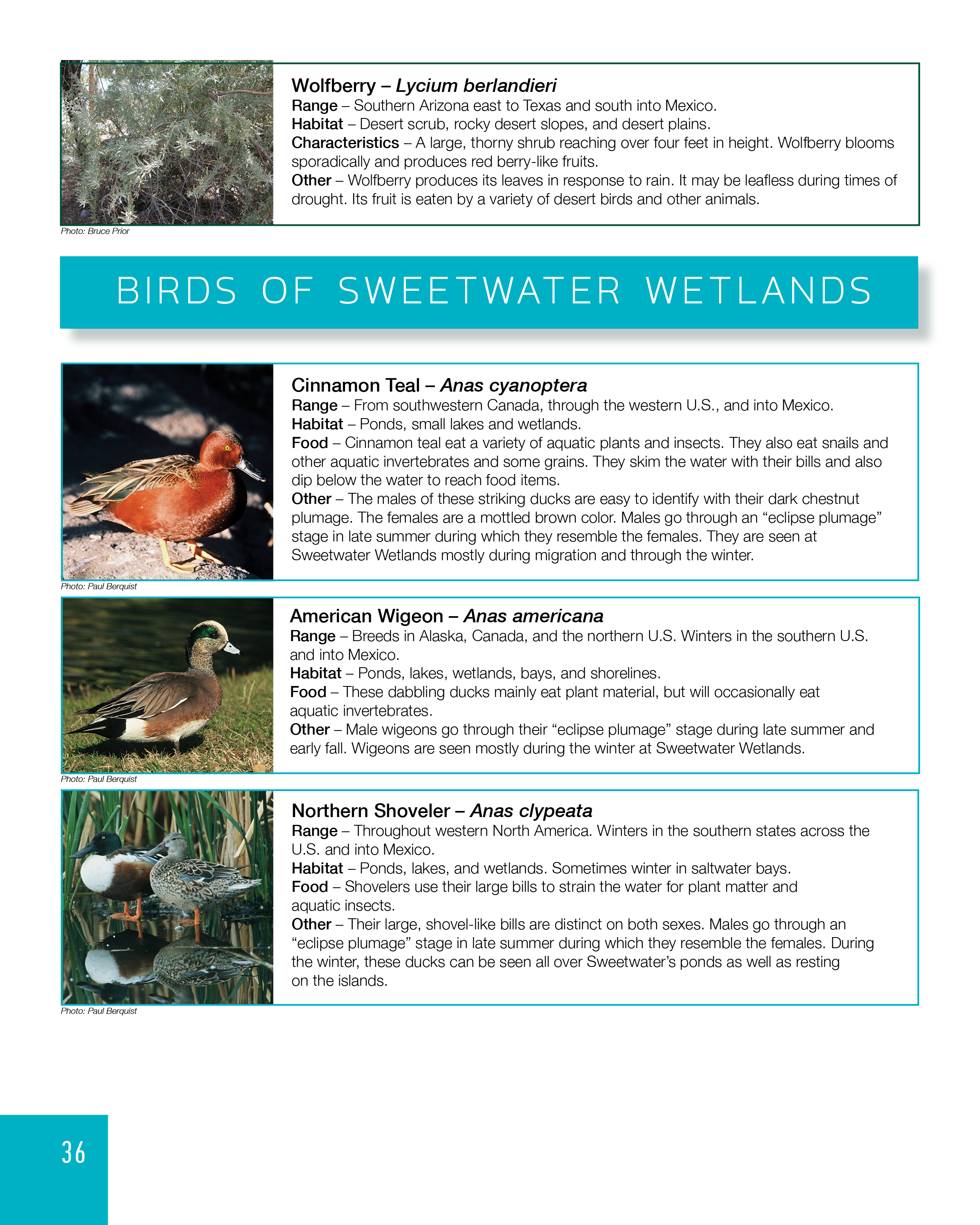 SweetwaterField Guide9-5-17,34-4736.jpg