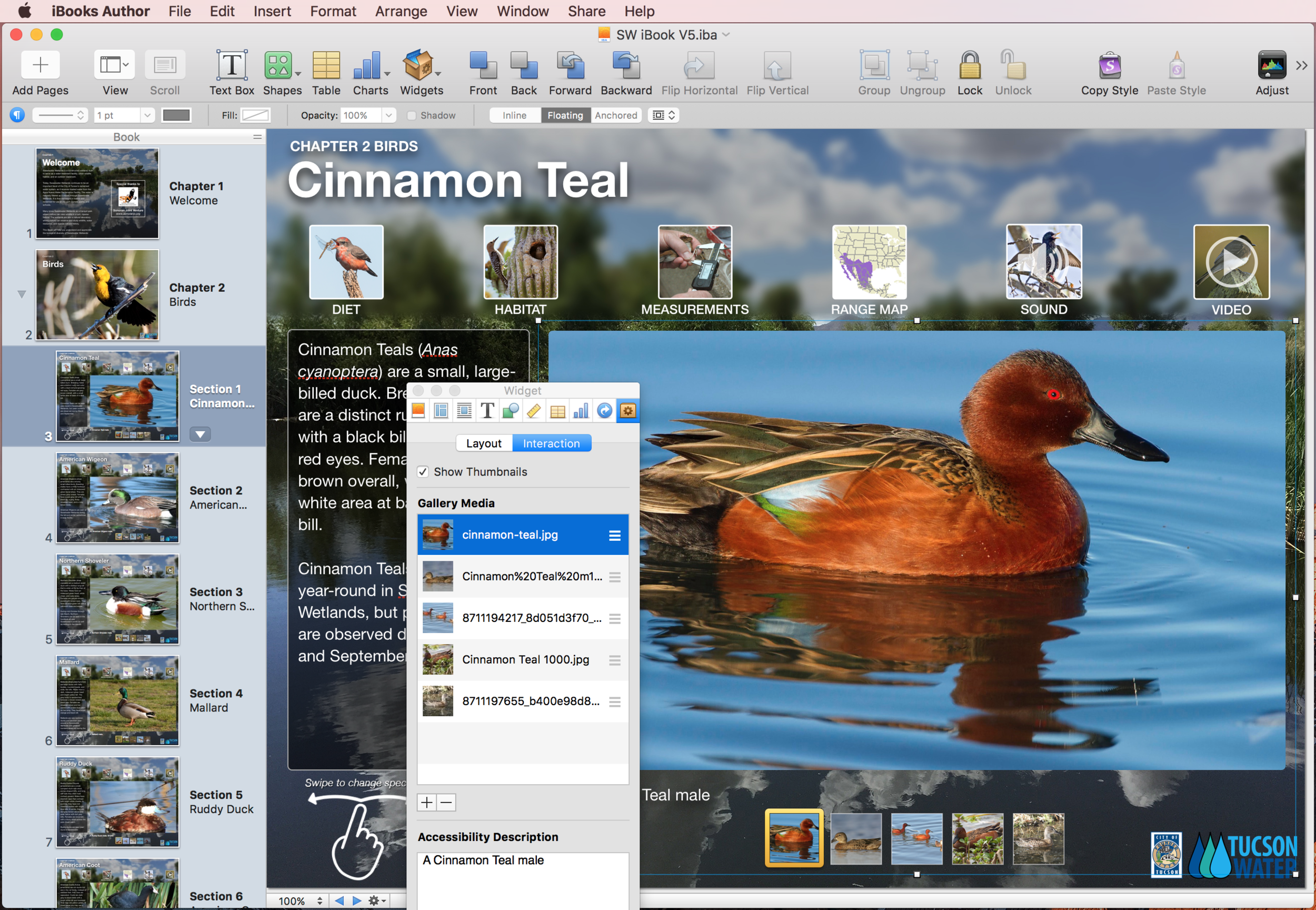 ibook author.png