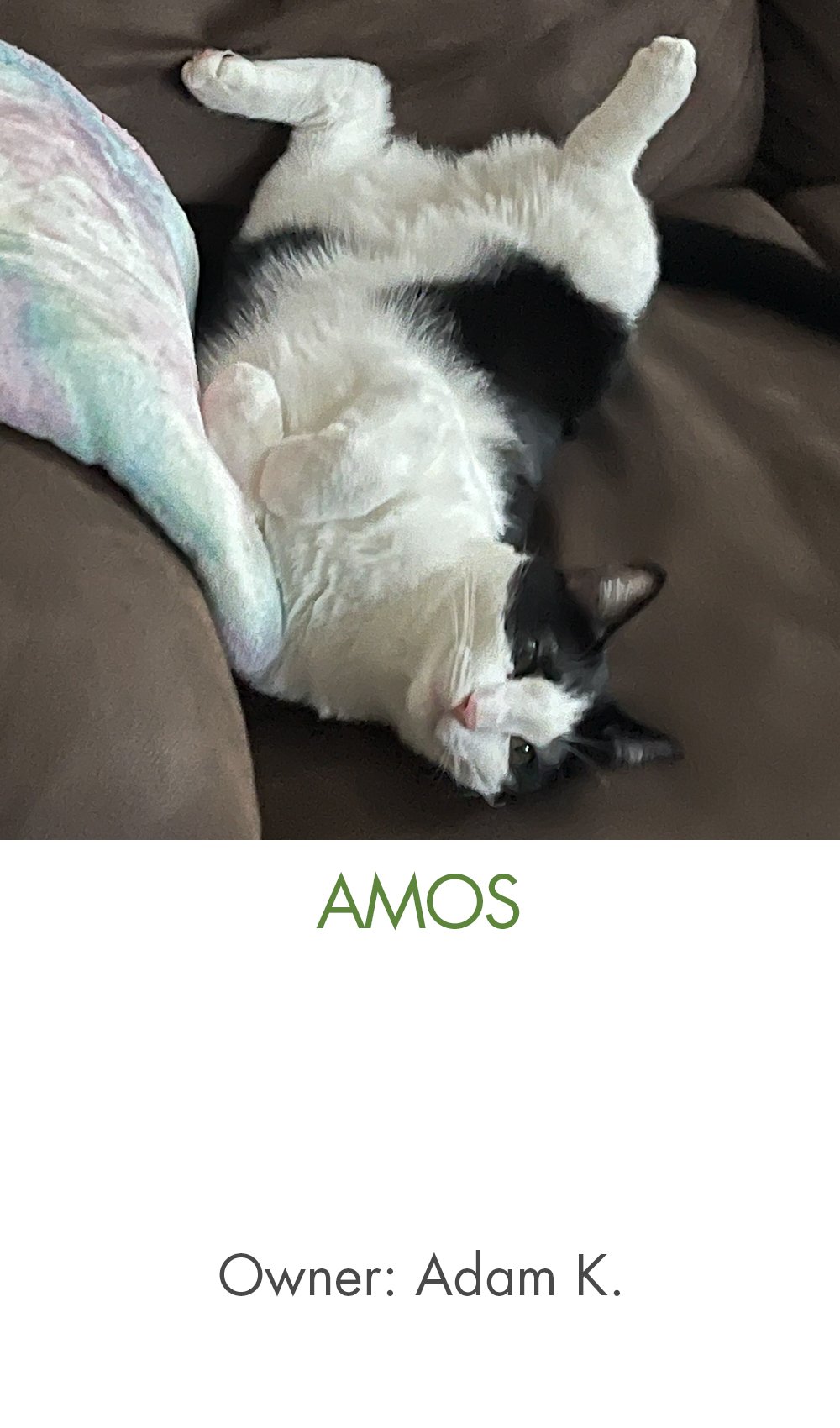 Amos - Adam.jpg