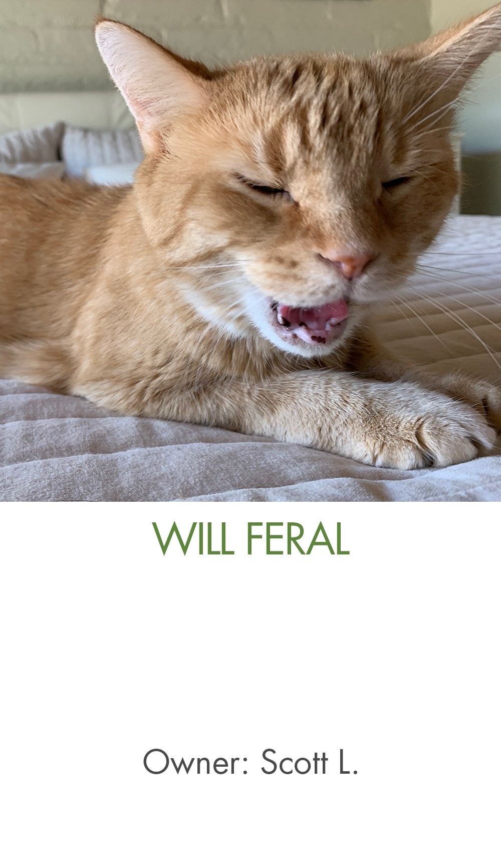 Will Feral - Scott.jpg