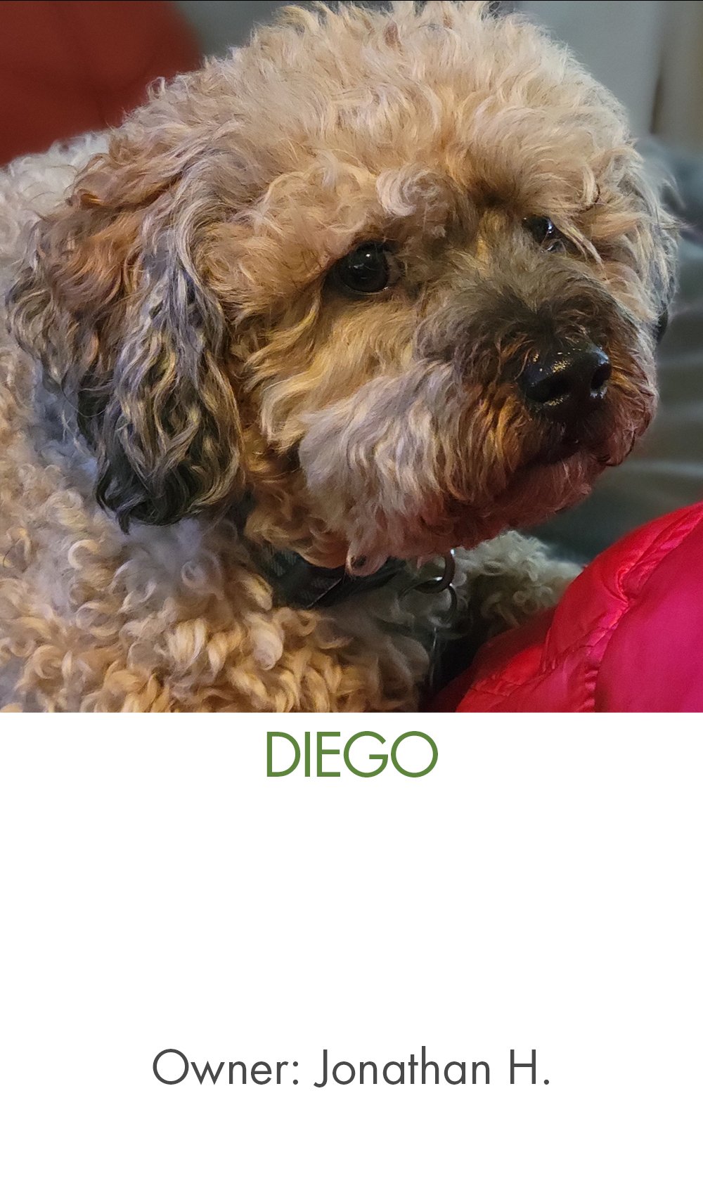 Diego.jpg