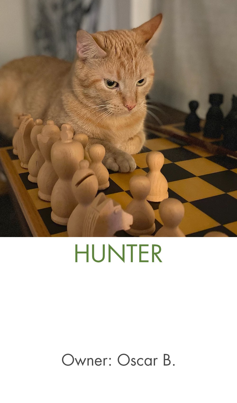 Hunter - Oscar.jpg