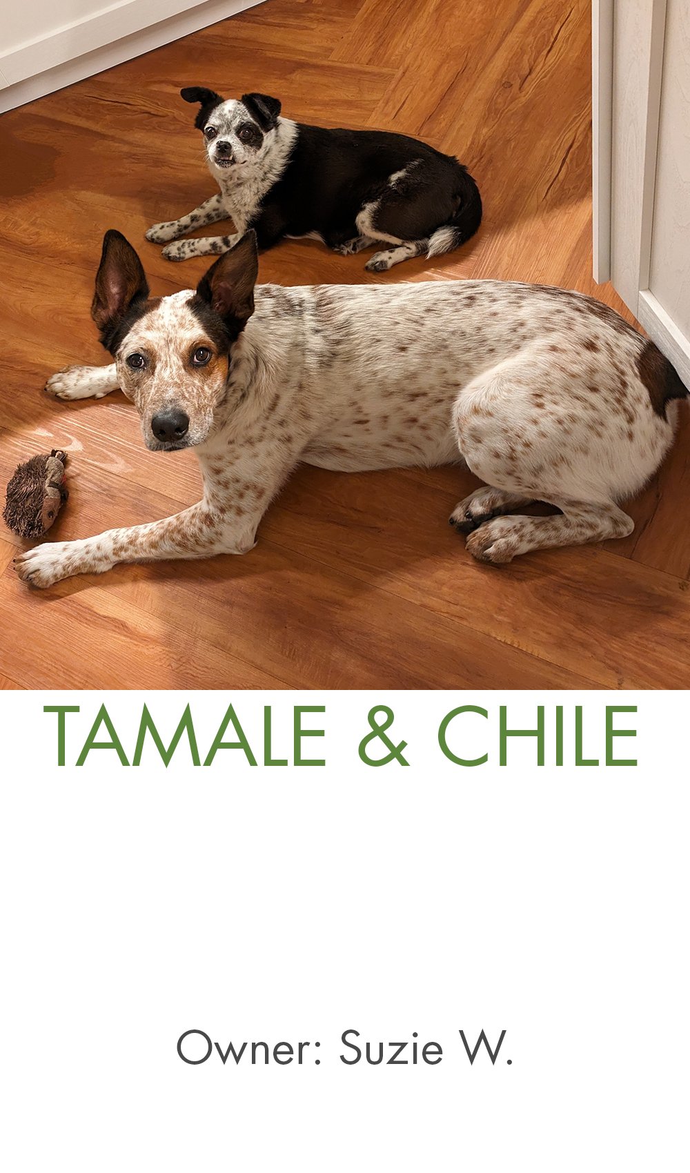 Tamale and Chile - Suzie.jpg