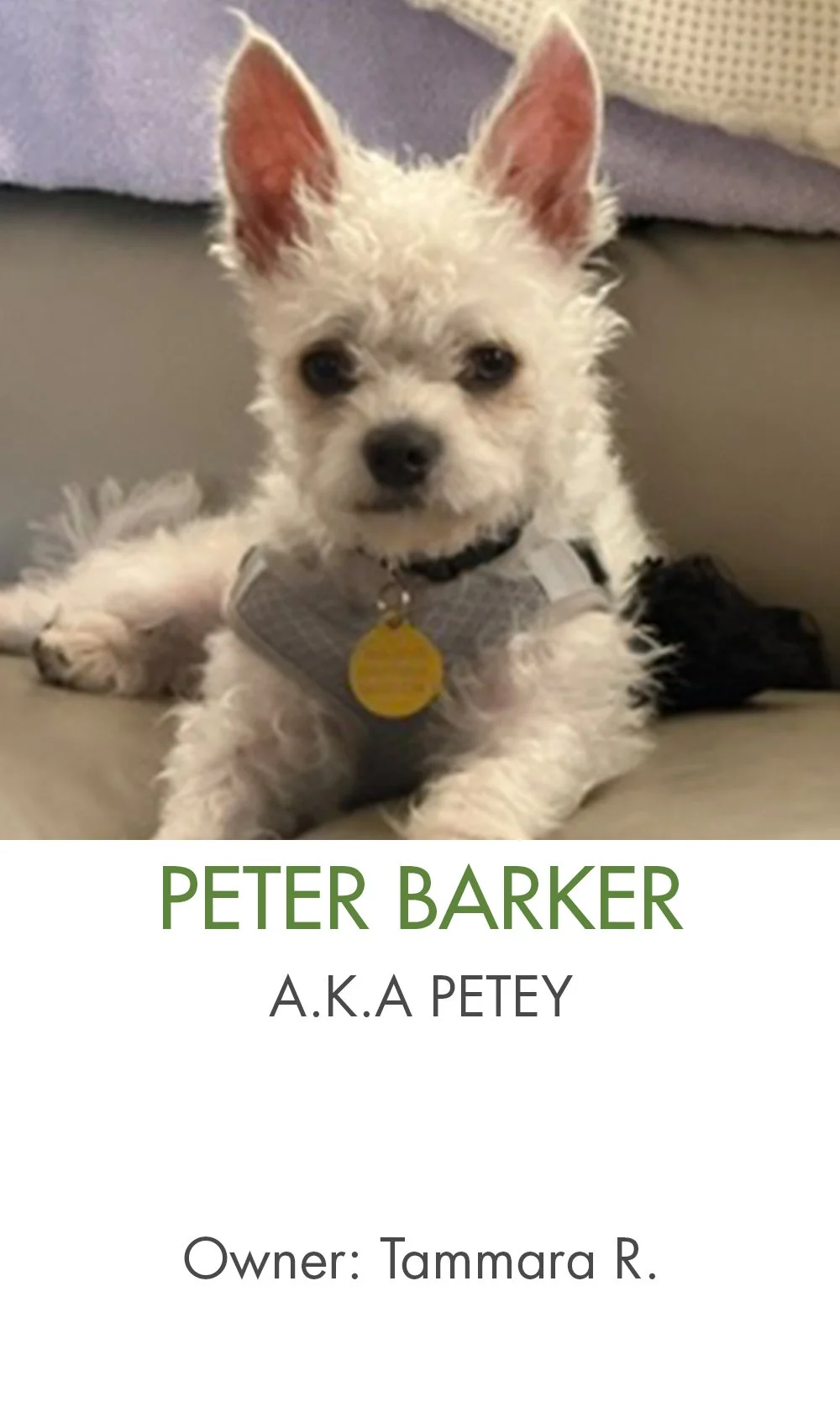 Peter barker.jpg