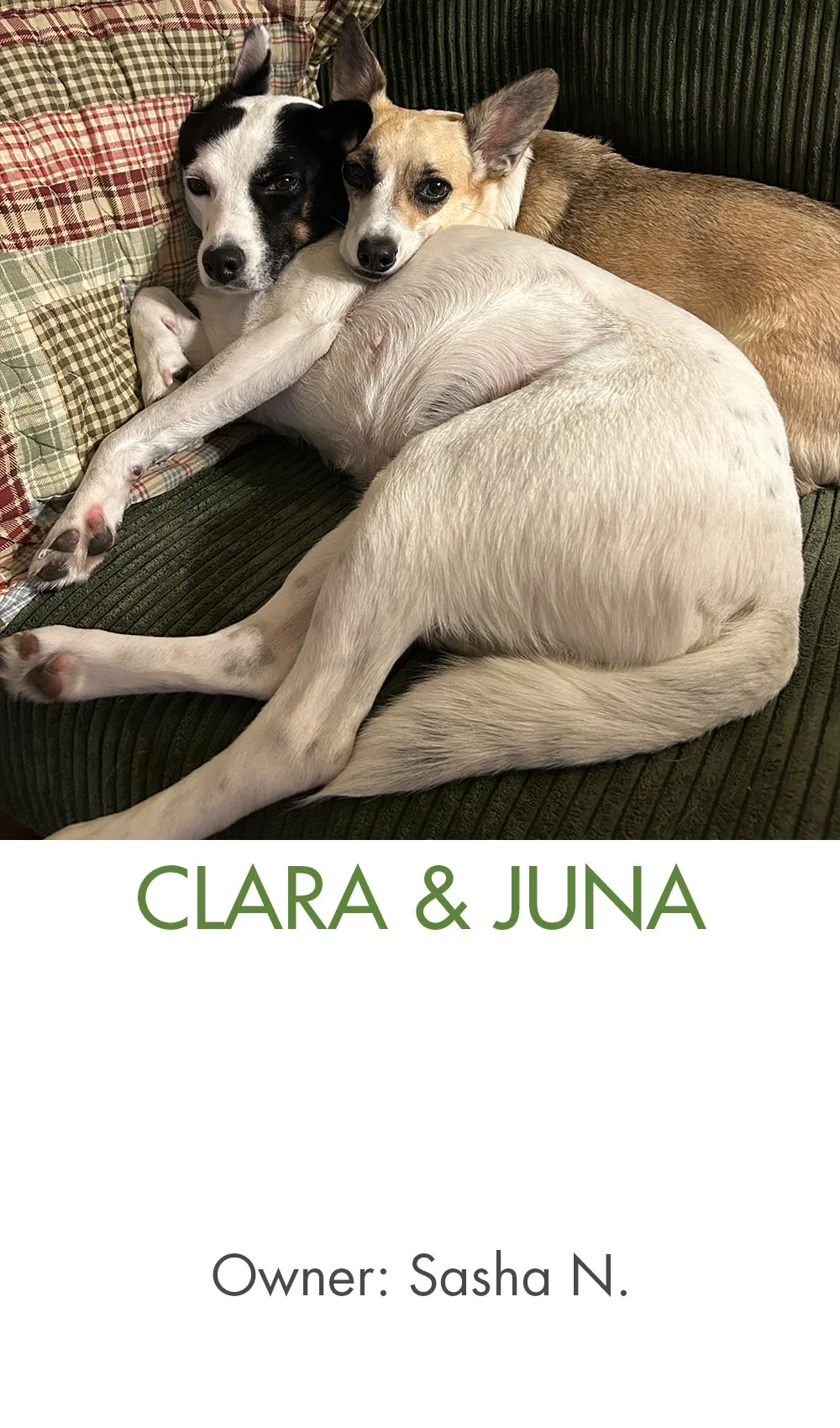 Clara and Juna.jpg