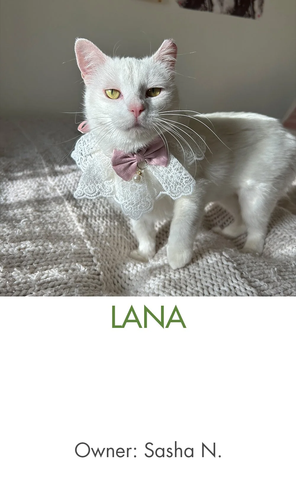 Lana.jpg