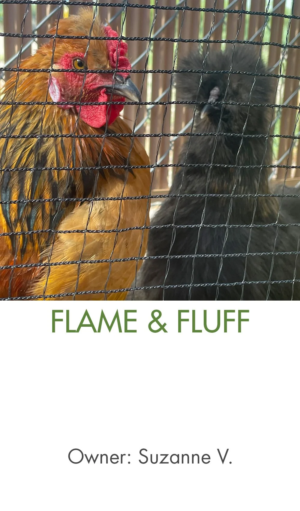 Flame and Fluff.jpg