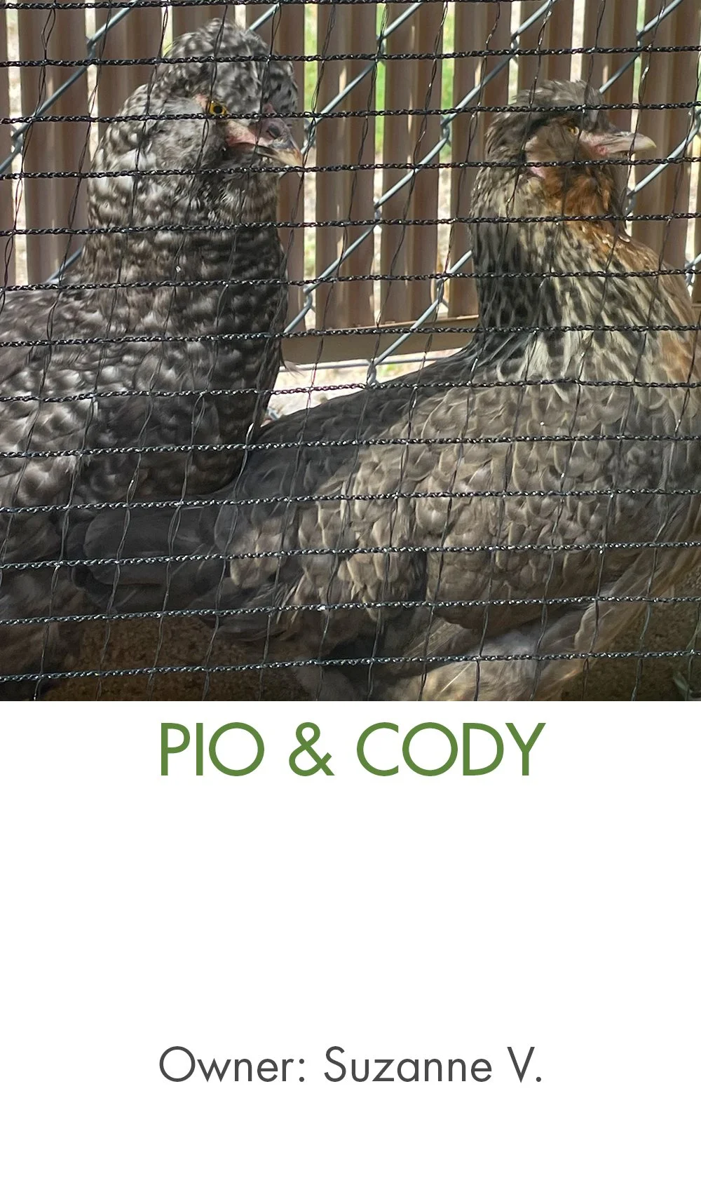 Pio and Cody.jpg