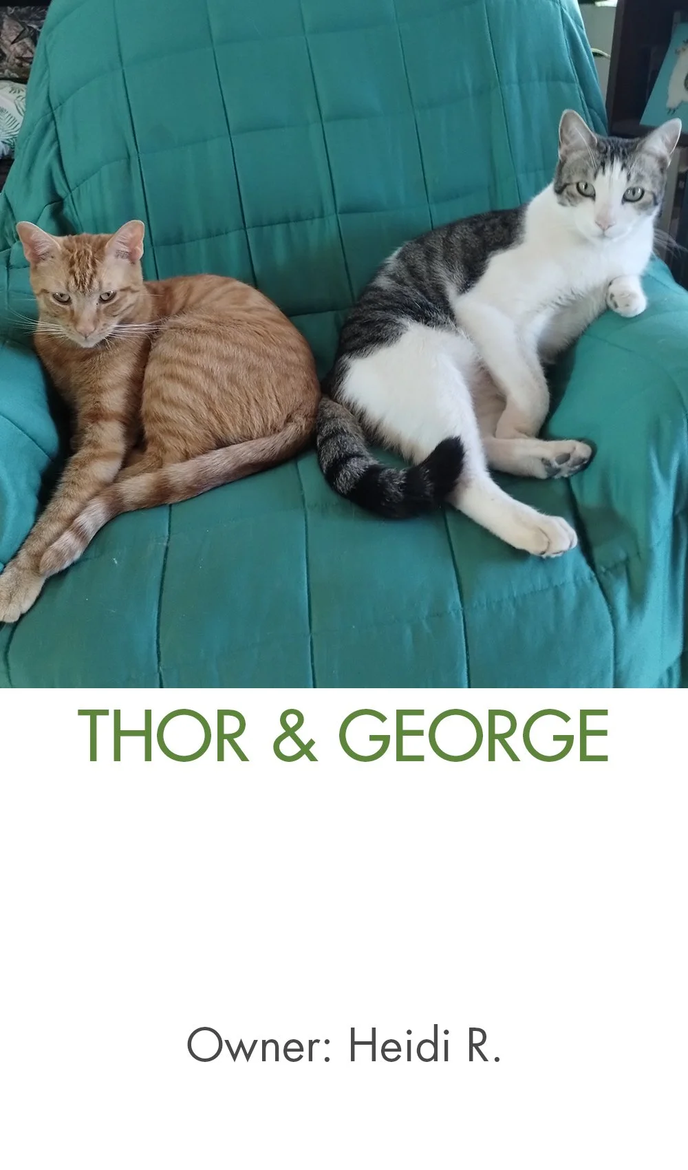 Thor and George.jpg