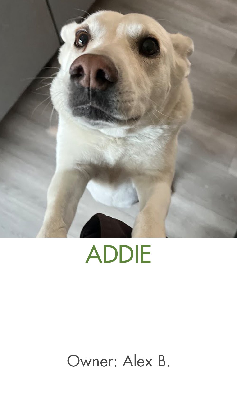 Alex B - Addie.jpg