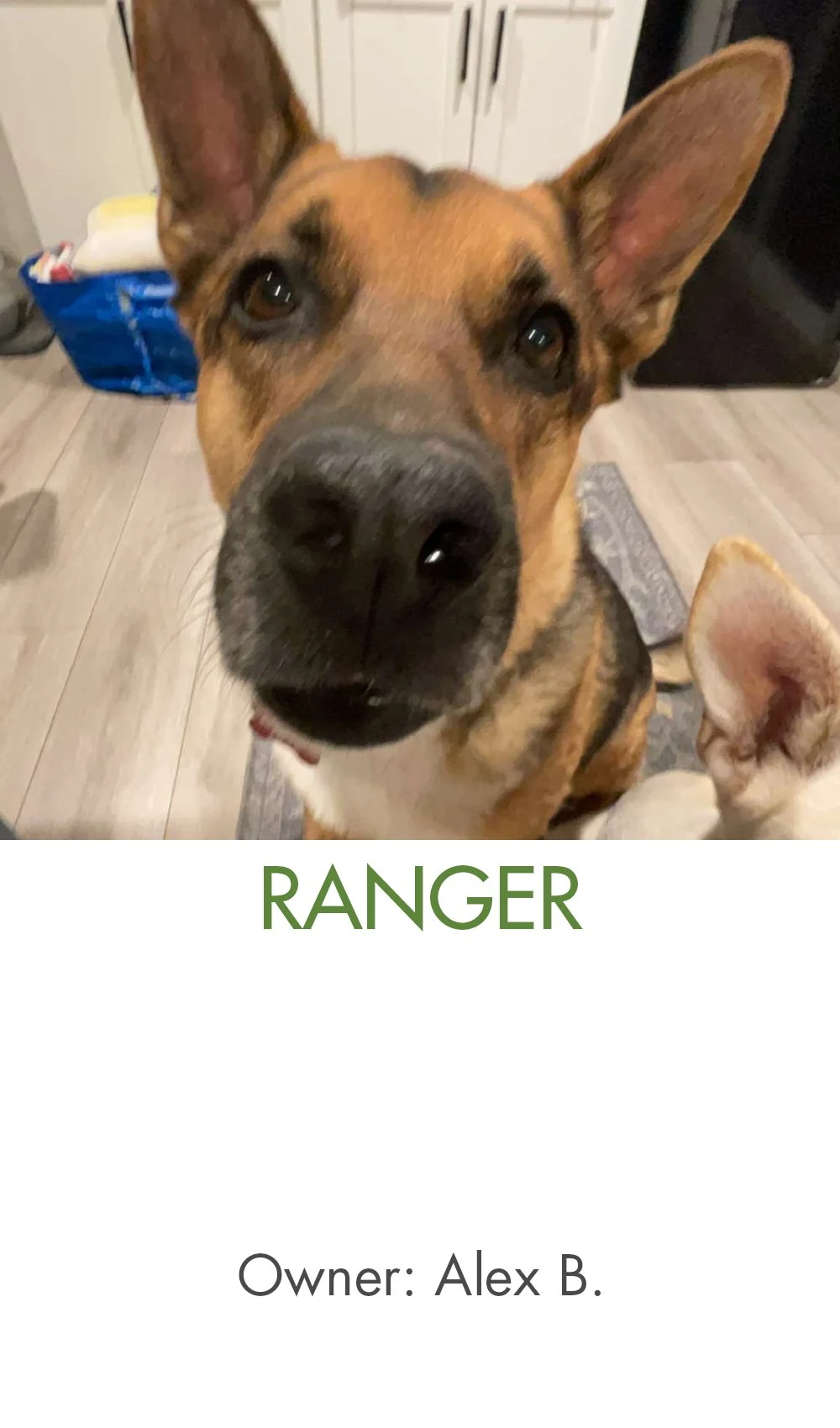 Alex B - Ranger.jpg