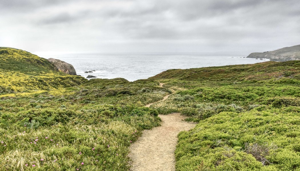 marin headlands.jpg