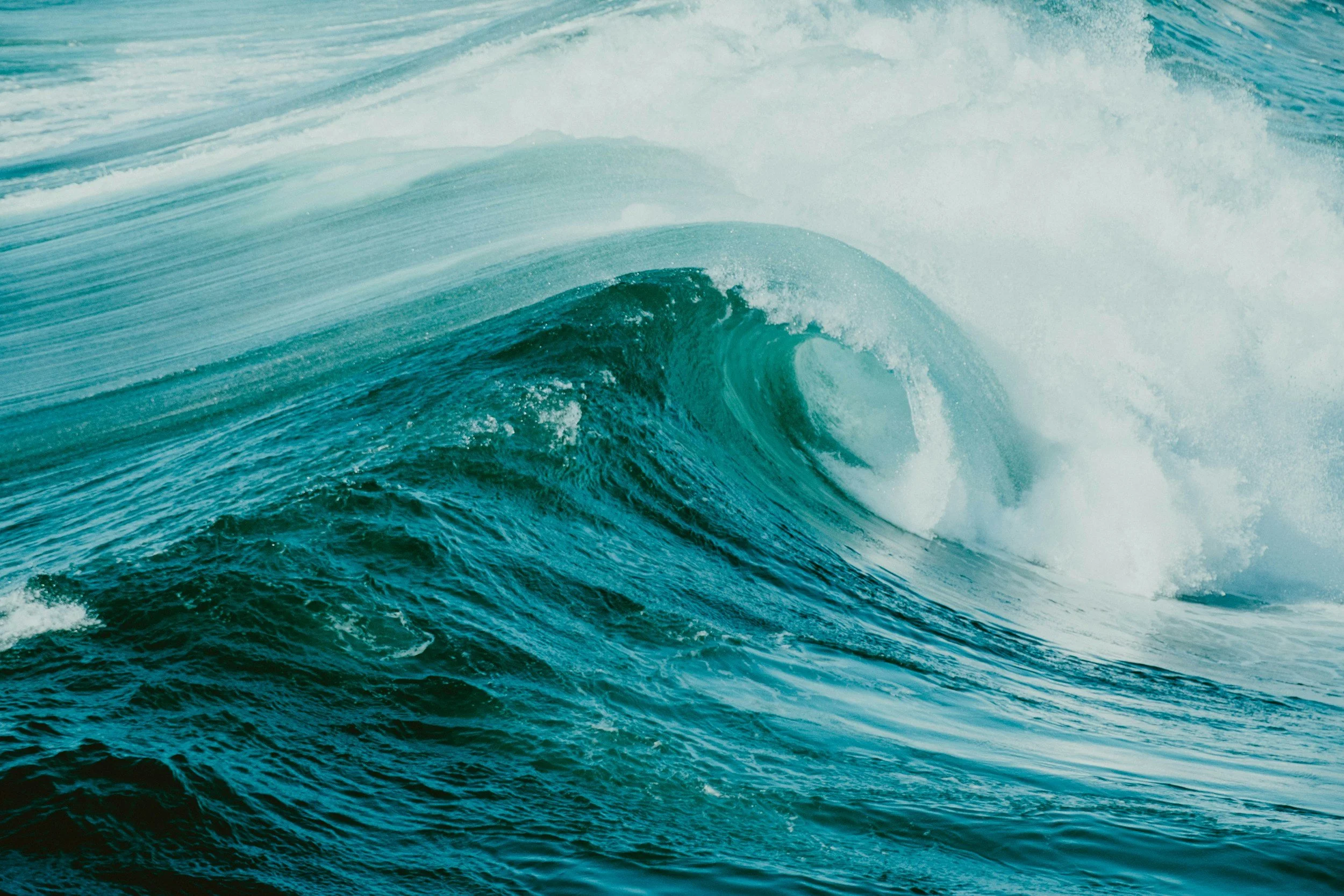 unsplash-image-vYc1k5x_f7I.jpg