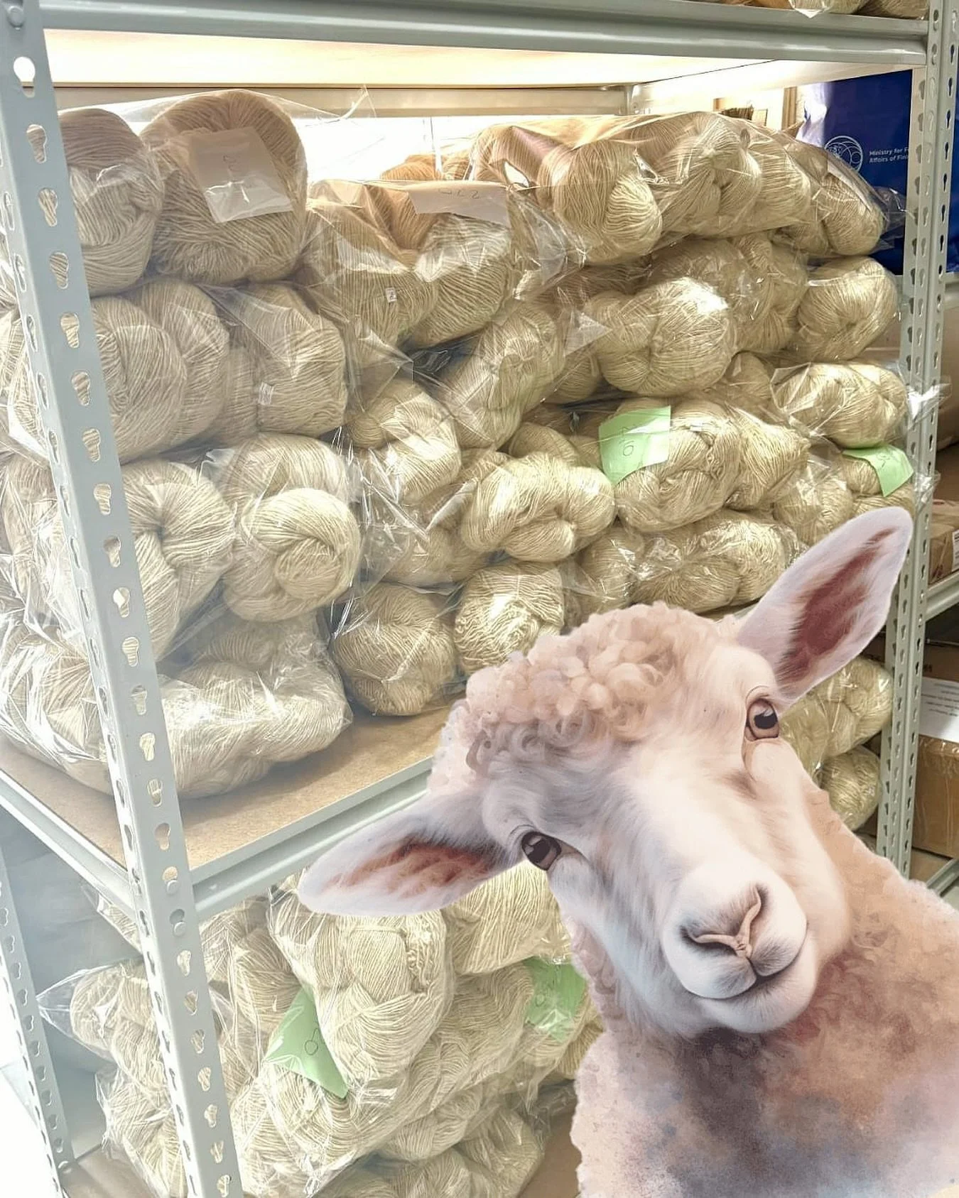 @arm.wool baaarges ahead! &lsquo;The highest quality hand spun wool yarn in all of Europe&rsquo; said a UK client while we were at the World Wool Forum in Rome ten days ago. Blown away! We&rsquo;ve ramped up production in Amasia to meet the demand.. 