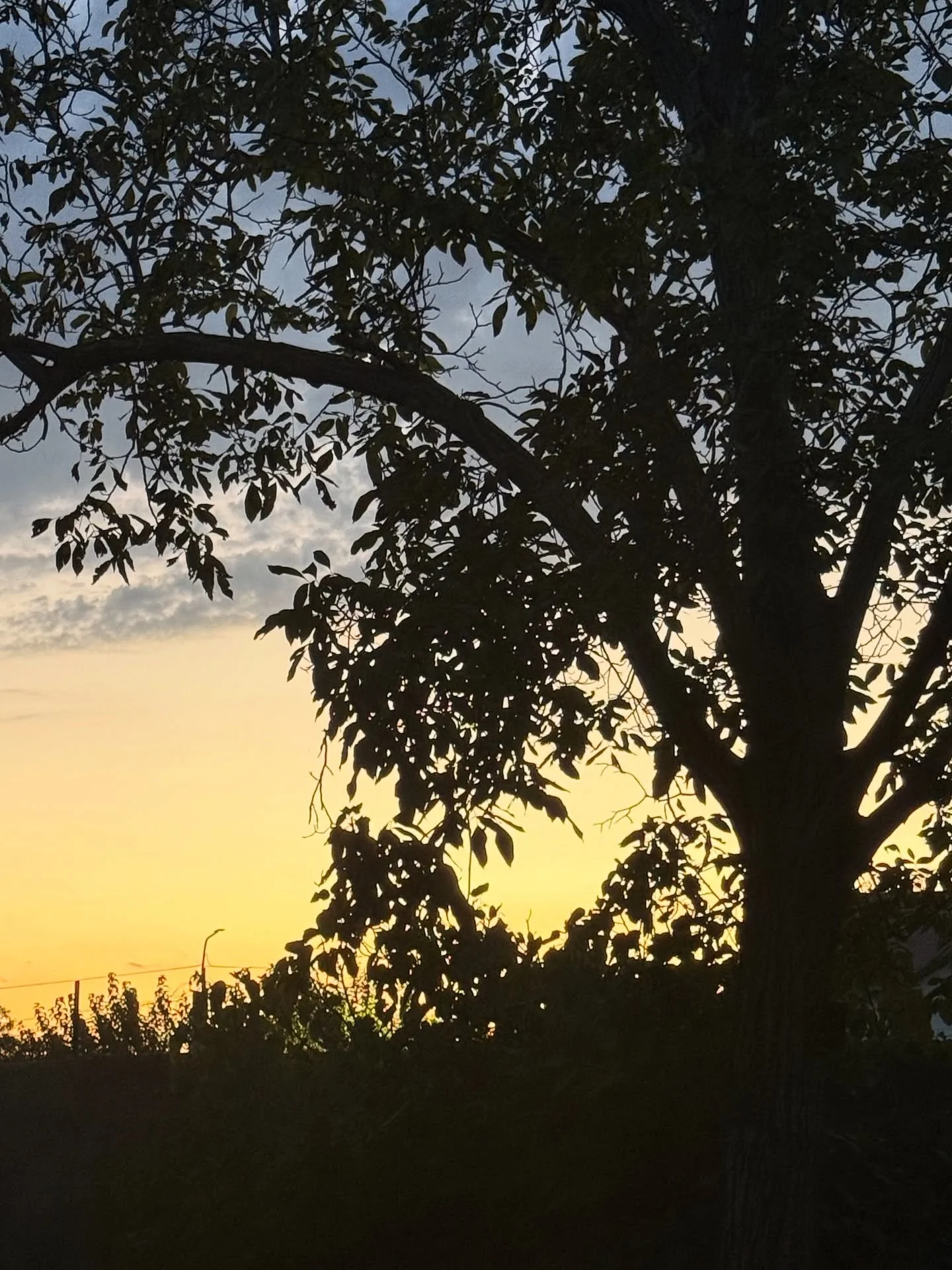 Armenian sunset out the back door of the HDIF office in Erebouni. It&rsquo;s been another bruising, challenging day&hellip;&hellip;&hellip;&hellip;&hellip;

@livelovearmenia #sleepwellarmenia