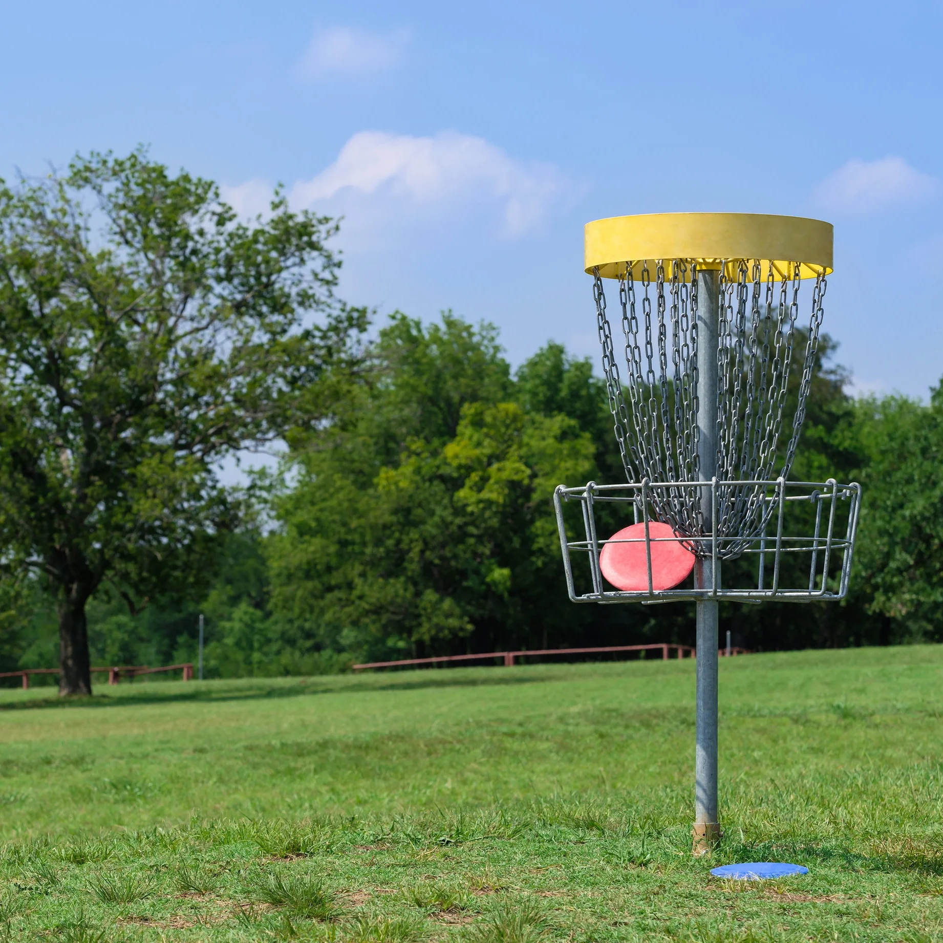 Marek_Disc Golf 1.png