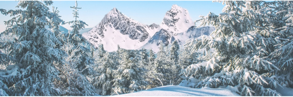 January 2020 Newsletter