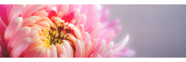 February 2020 Newsletter