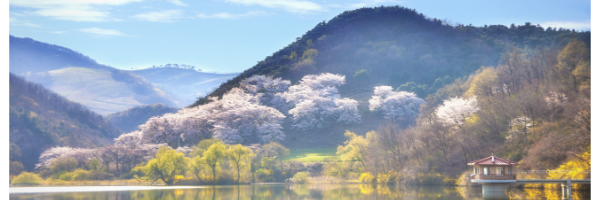 March 2020 Newsletter