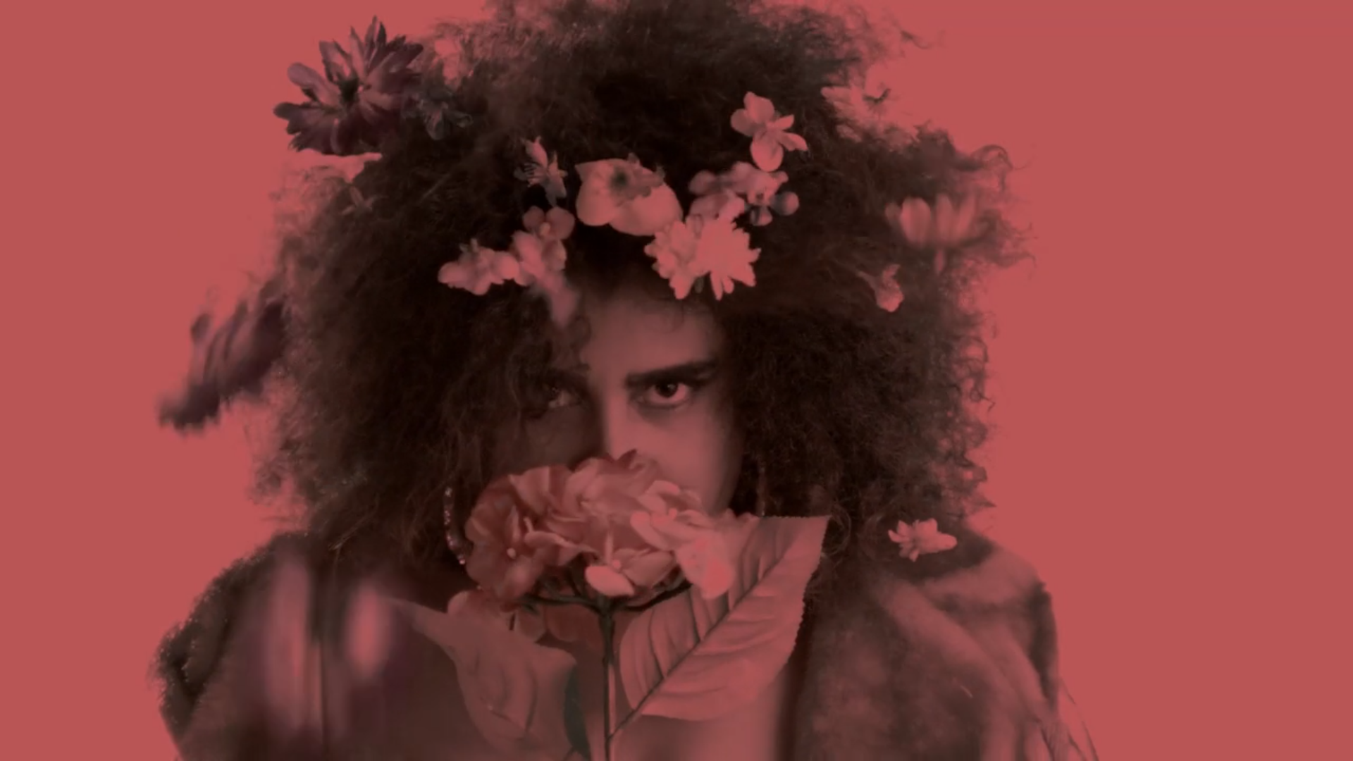 Flowers_00003.png