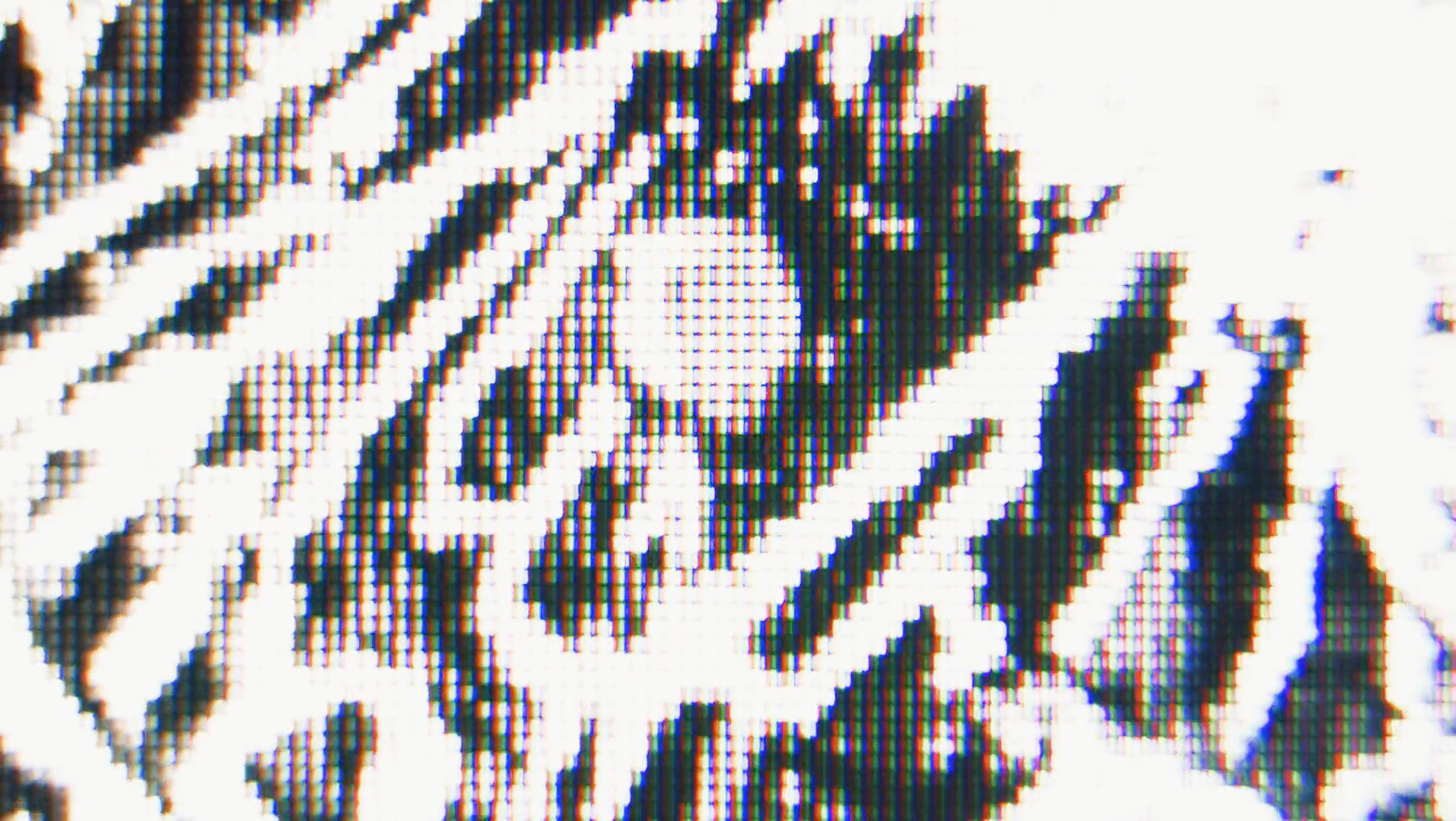 Screen Shot 2022-05-30 at 3.37.59 PM.png
