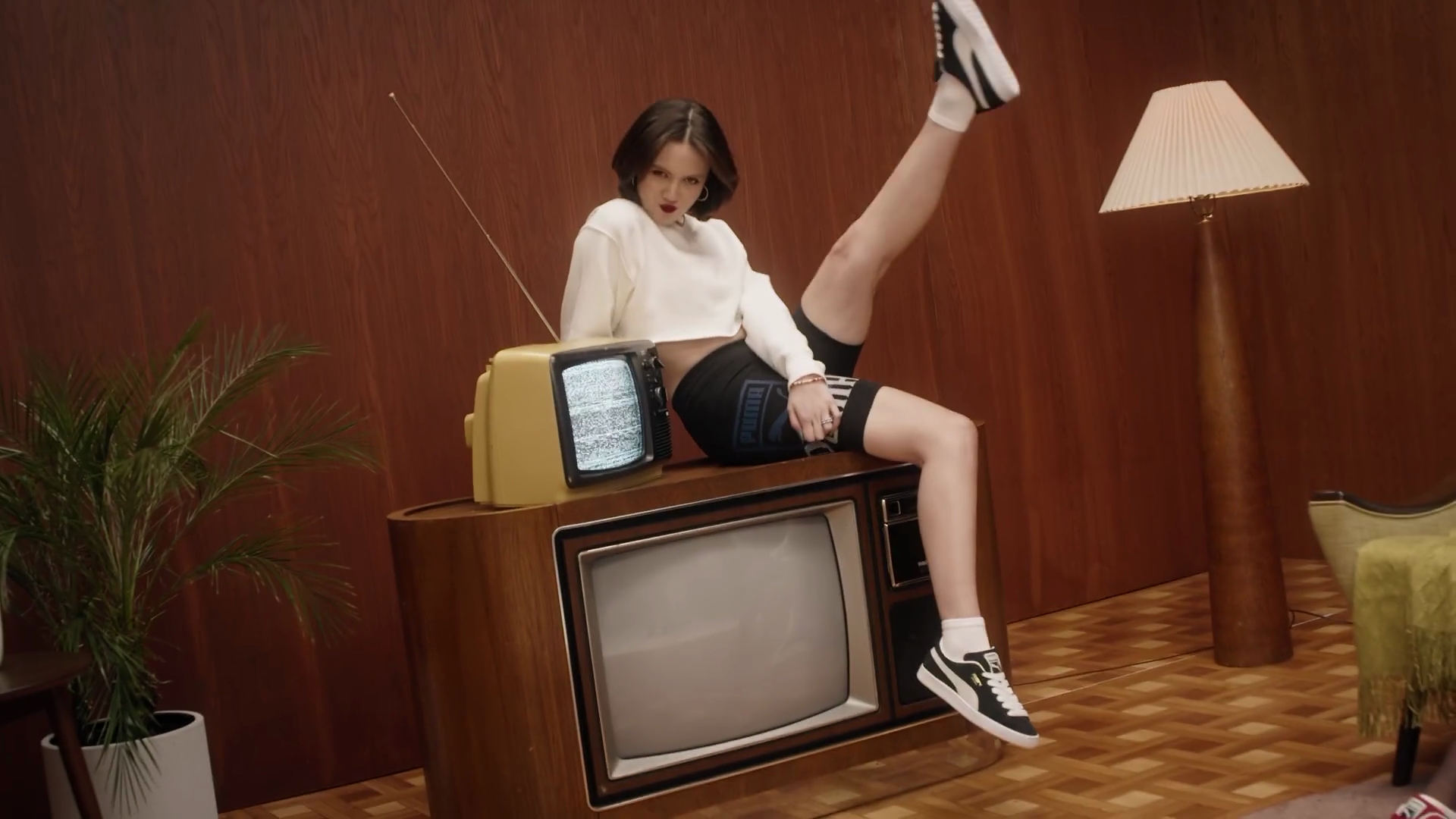 Puma_17.png