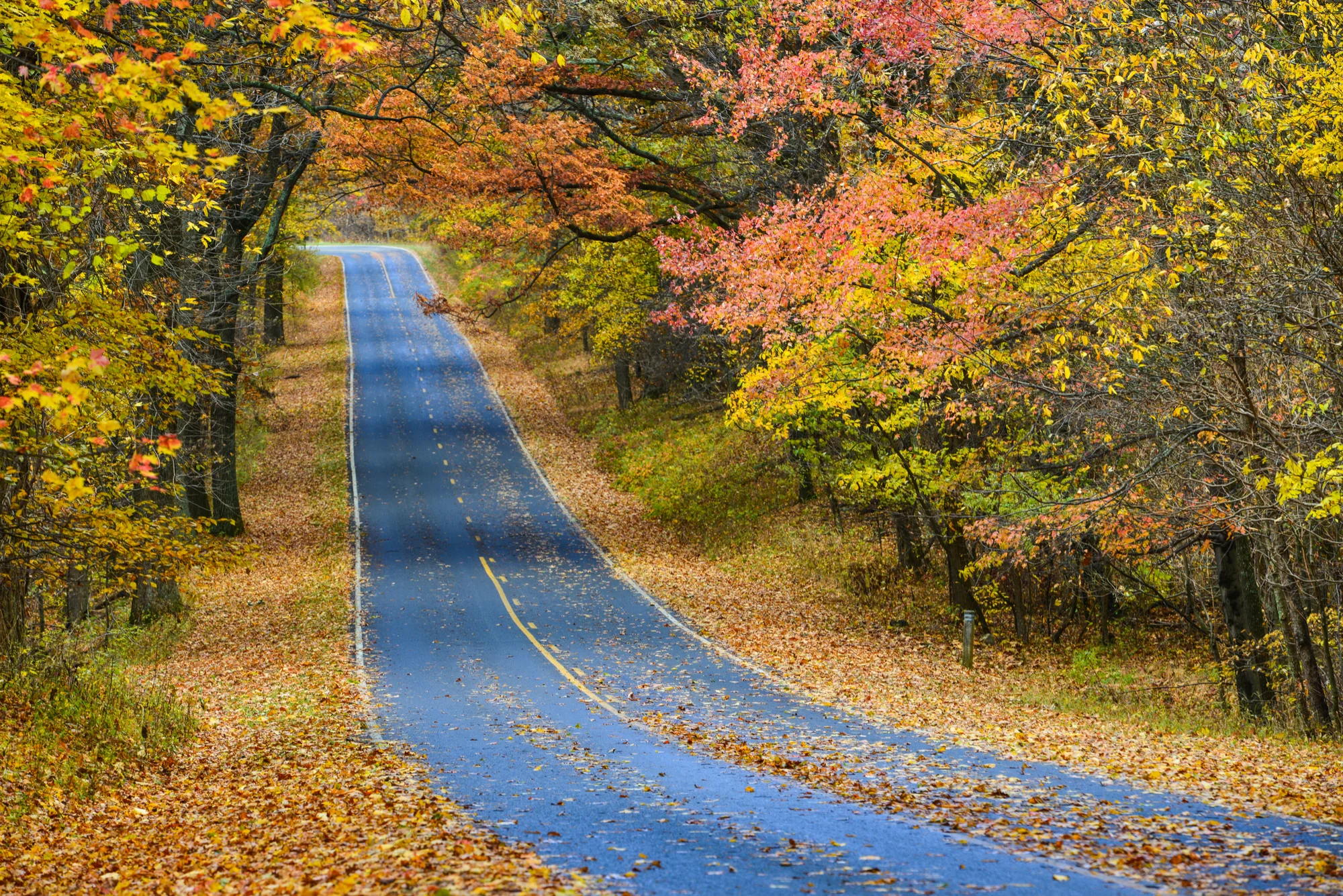 Driving in Virginia.jpg