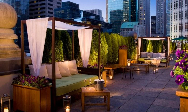 Attic Rooftop