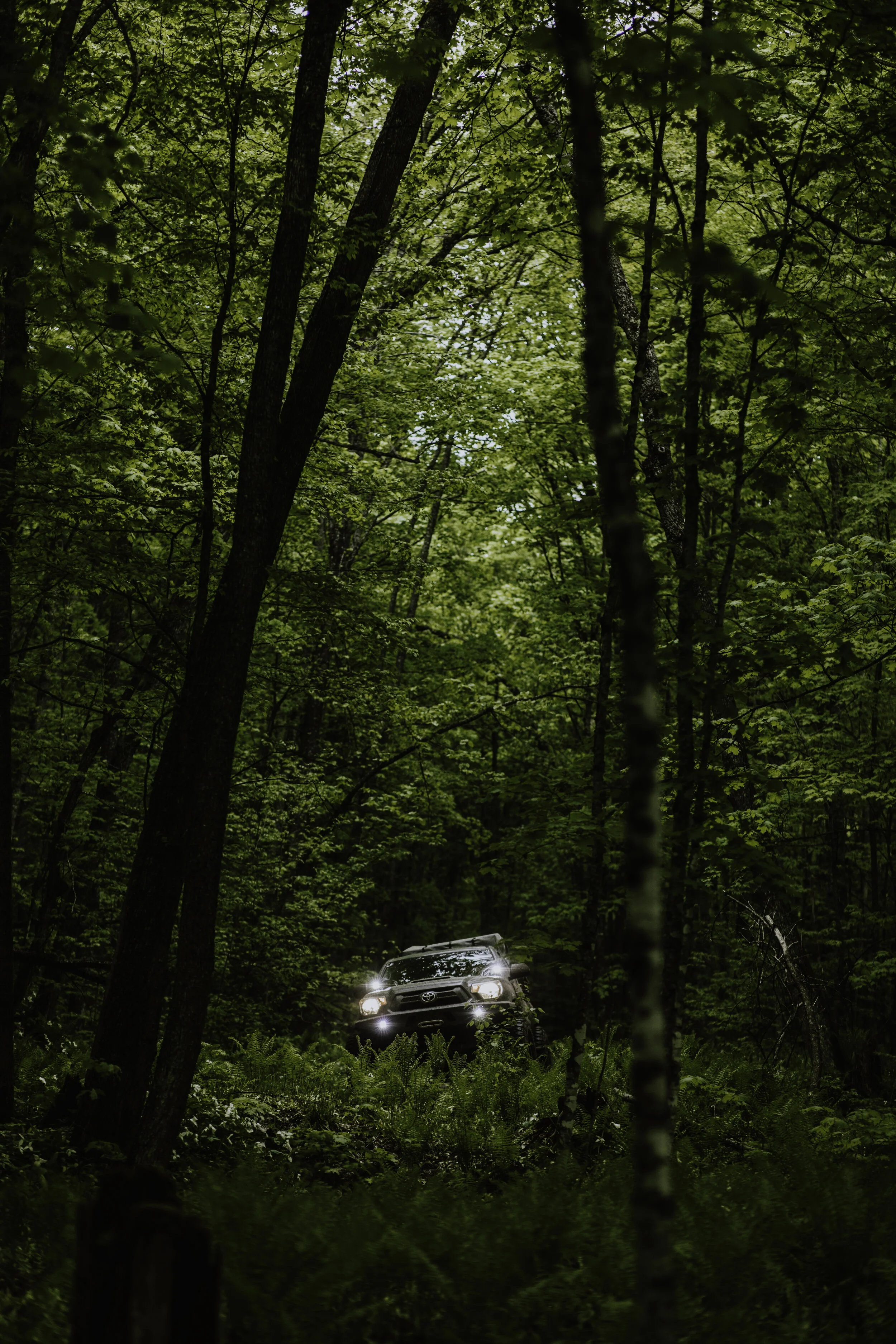 2J6A8472-Edit copy.jpg