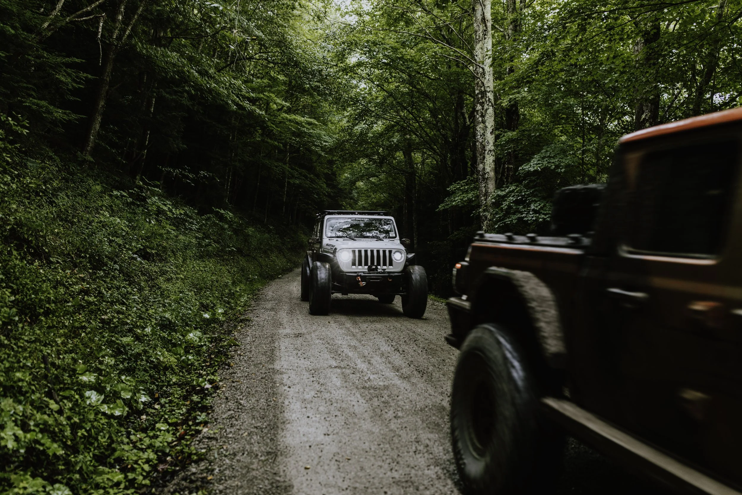 2J6A7646-Edit.jpg