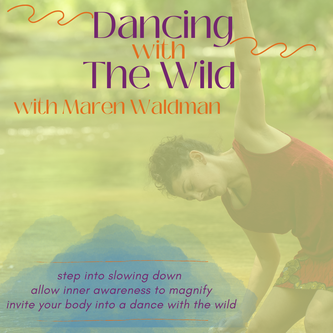 Dancing with The Wild