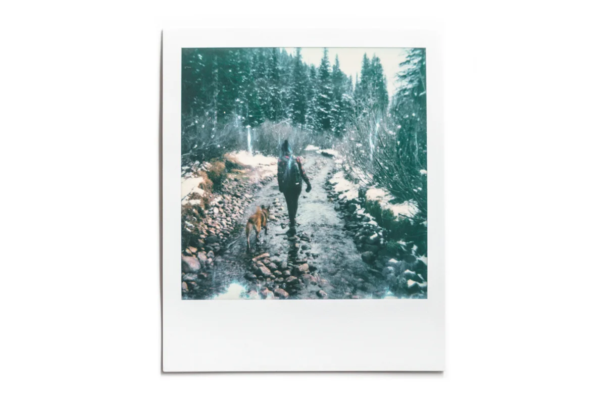 IMG_9311_b2 copy.jpg