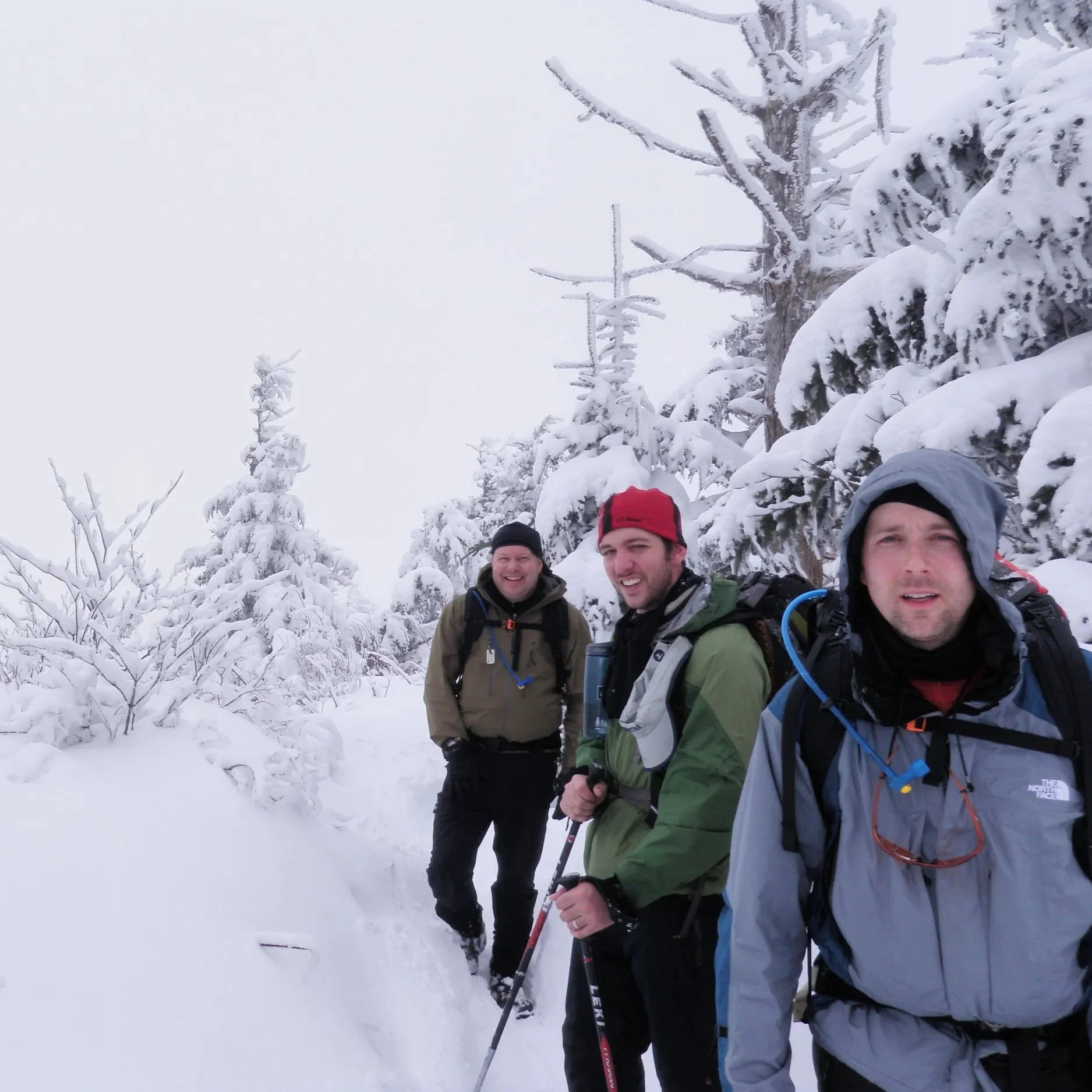 snow+118.jpg
