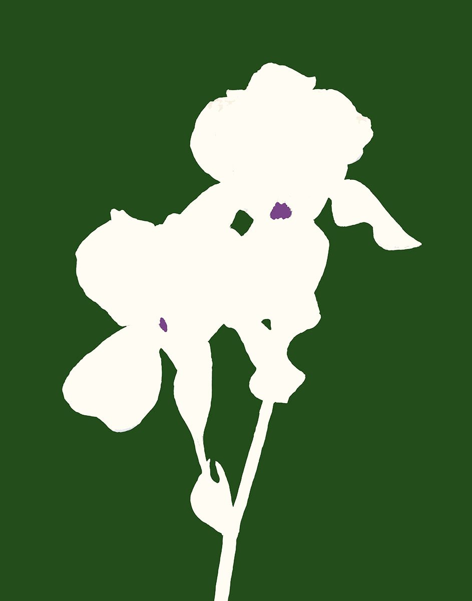 Iris