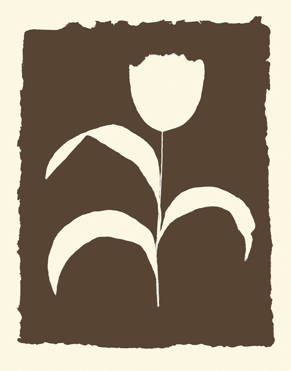 Tulip+-+white+on+brown+%40150.jpg