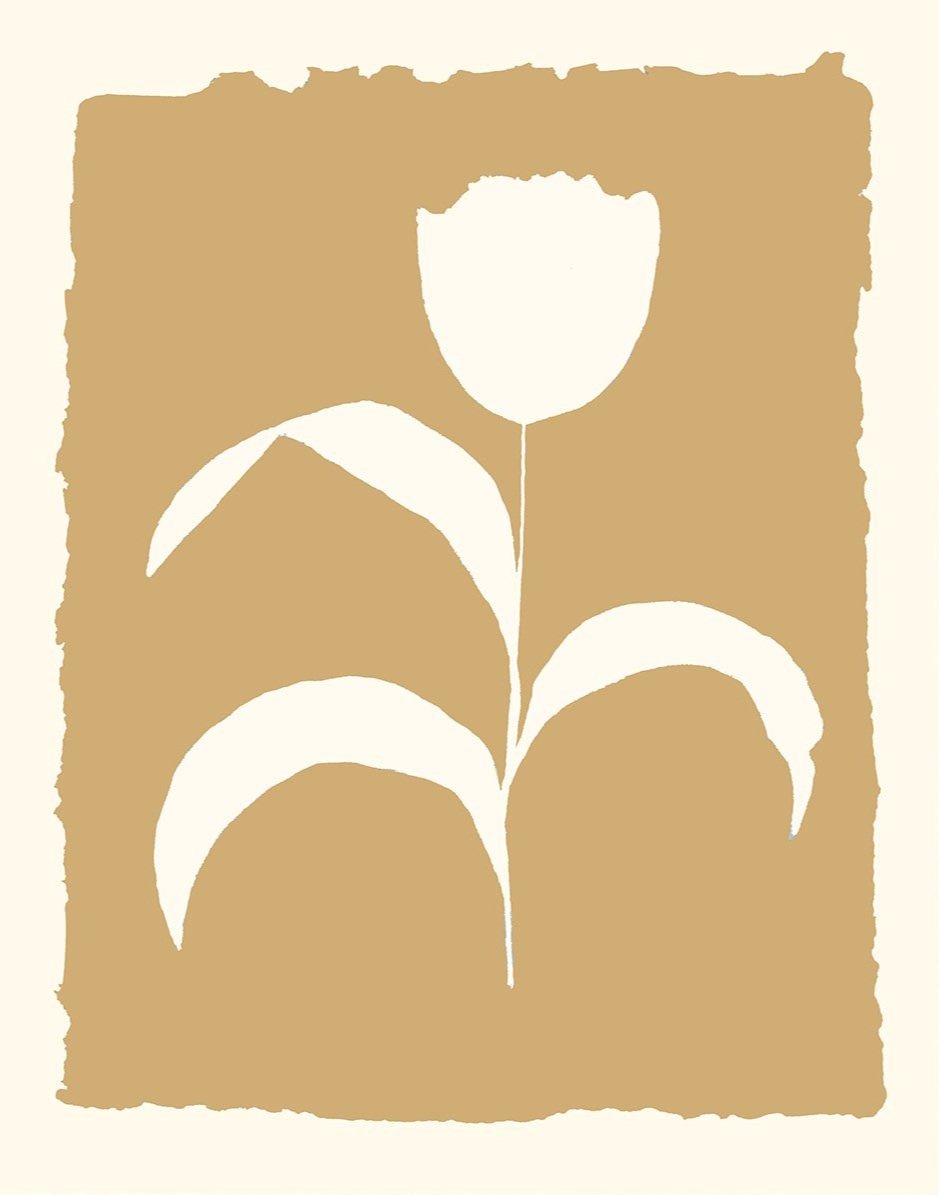 Tulip+-+white+on+beige+%40150.jpg
