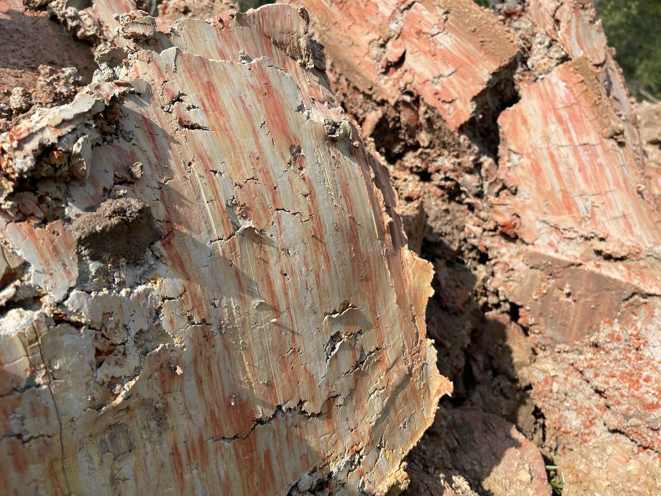 WhatsApp Image 2025-12-04 at 15.30.27 (1).jpeg