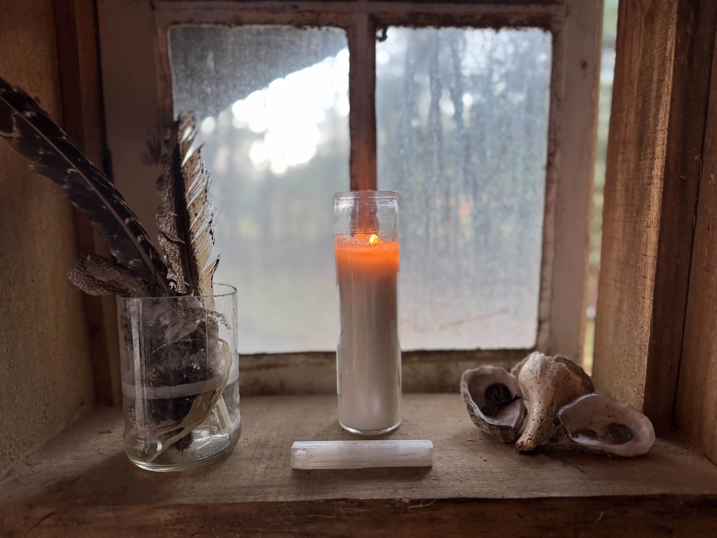 Misha Mayeur (25).jpg