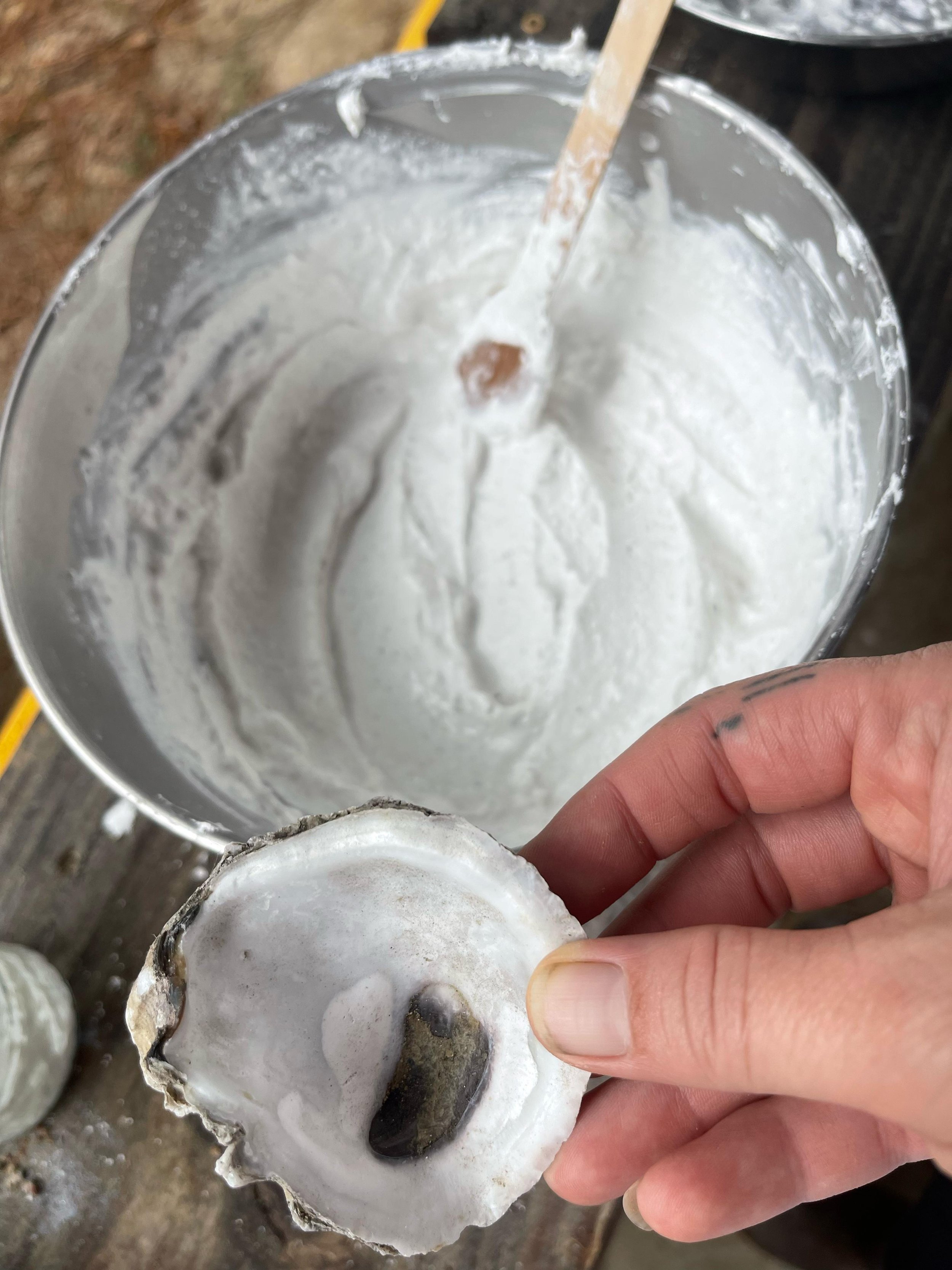 WhatsApp Image 2025-12-04 at 15.29.35 (1).jpeg